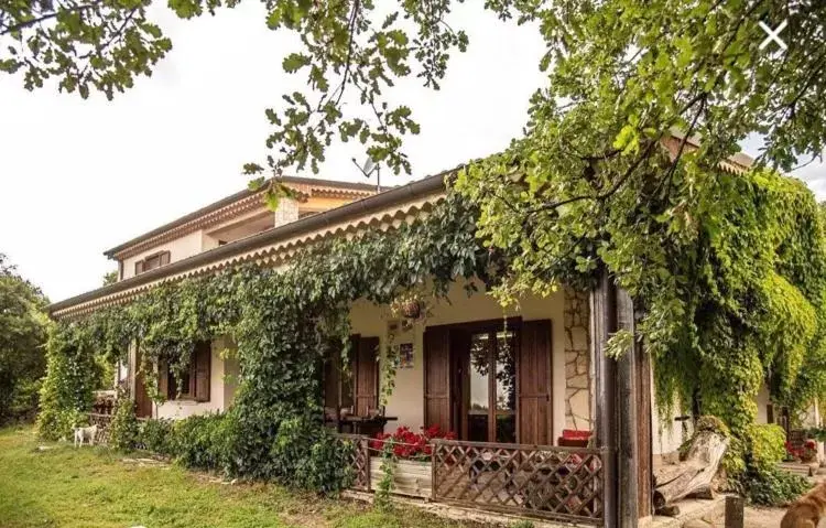 Property Building in The Forest House