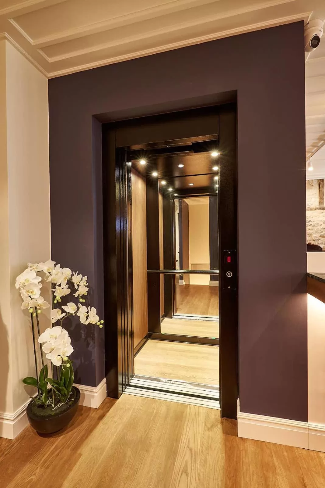 Lounge or bar in Regno Di Morea