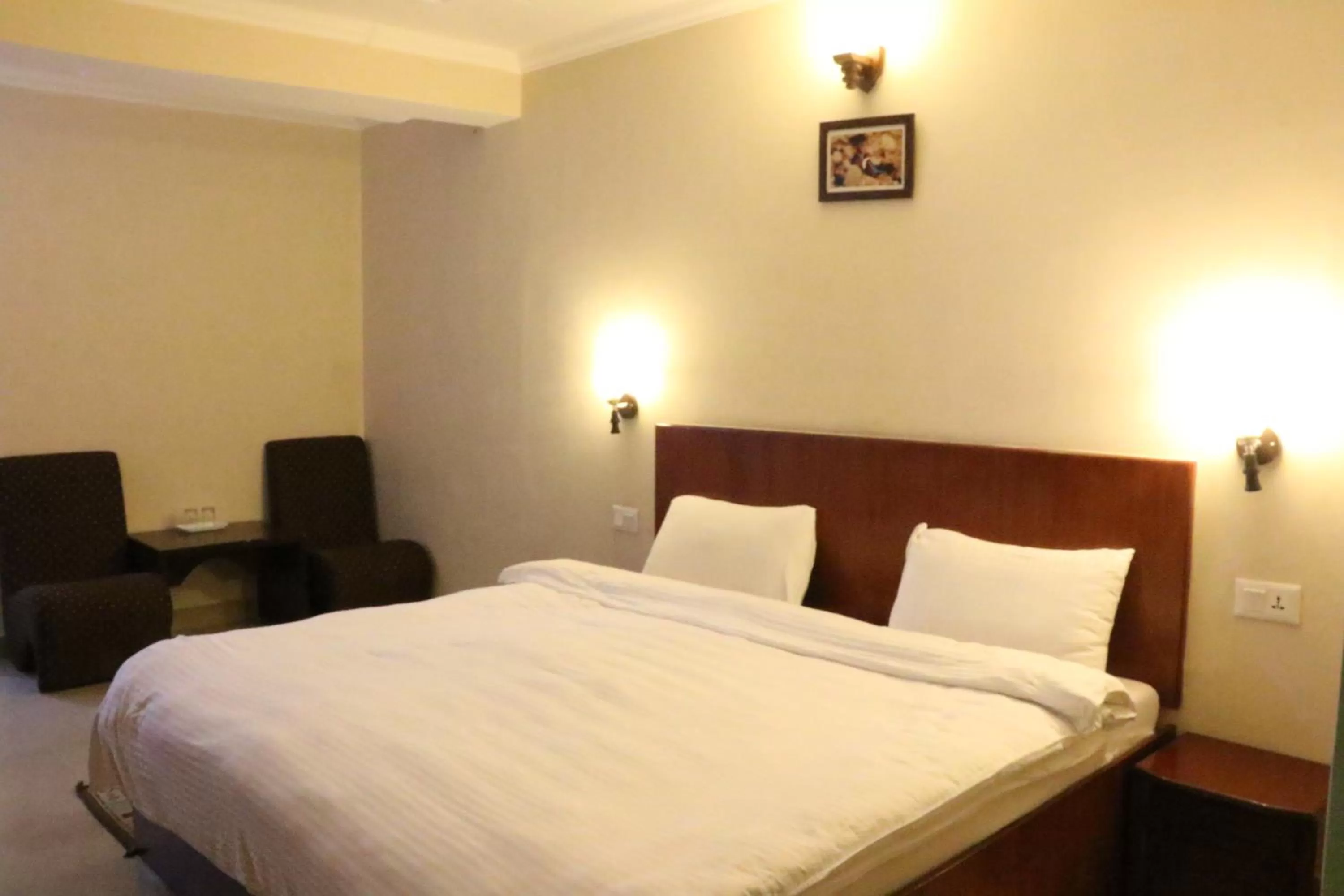 Superior Double Room in Green Hotel