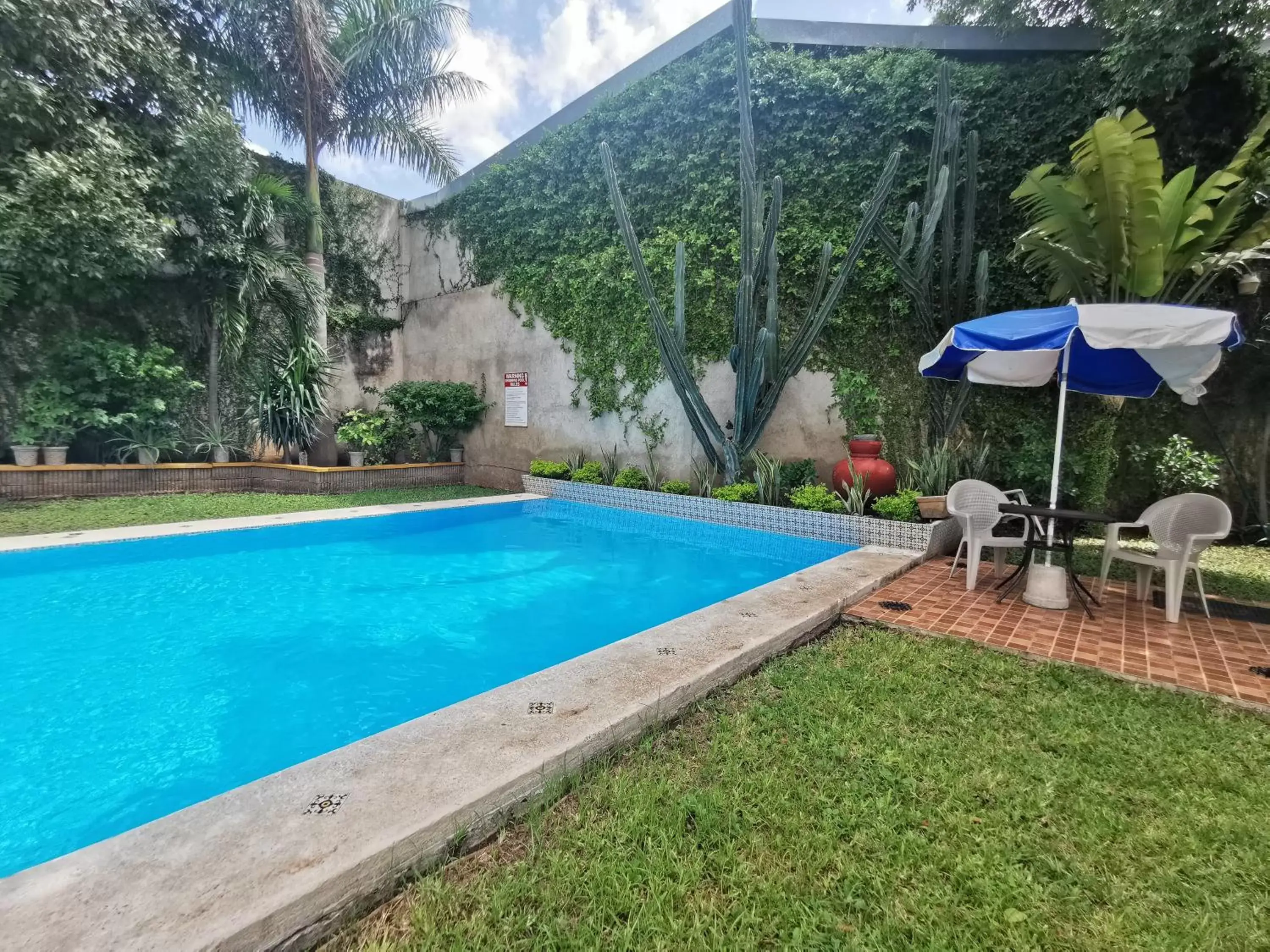 Off site, Swimming Pool in Hotel Las Dalias Inn