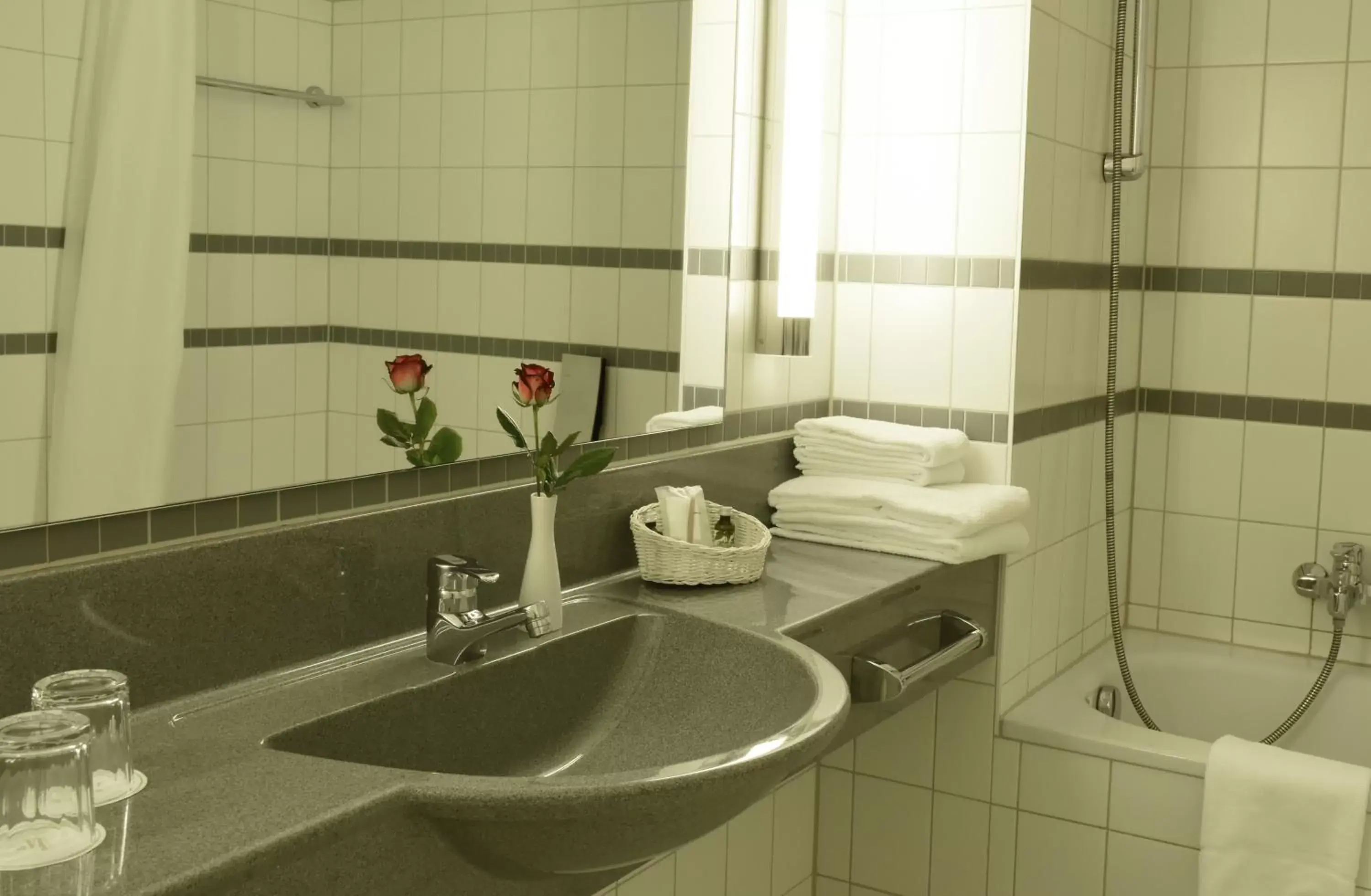 Bathroom in City Hotel Suhl
