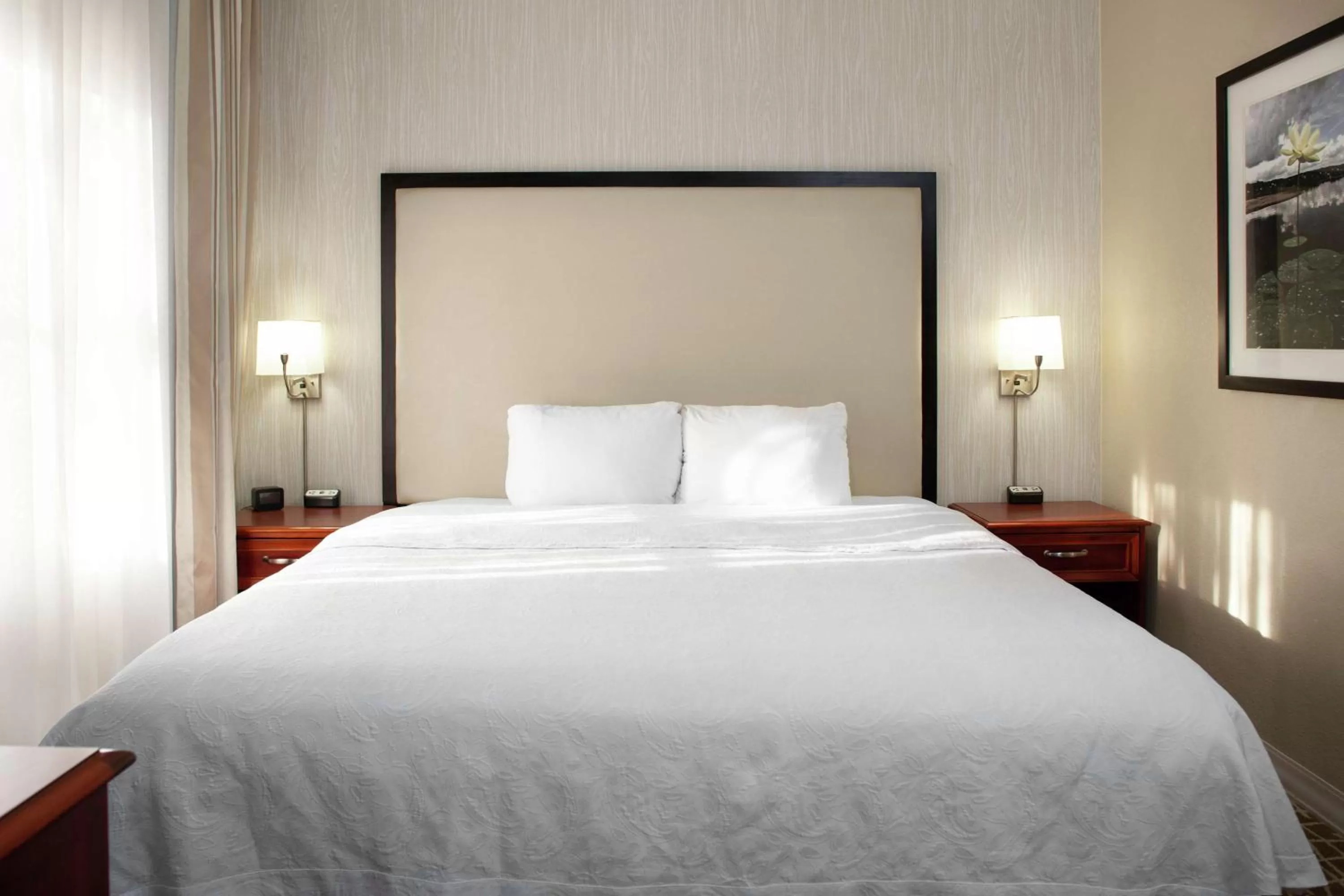 King Suite - Hearing Accesible/Non-Smoking in Homewood Suites by Hilton Tallahassee