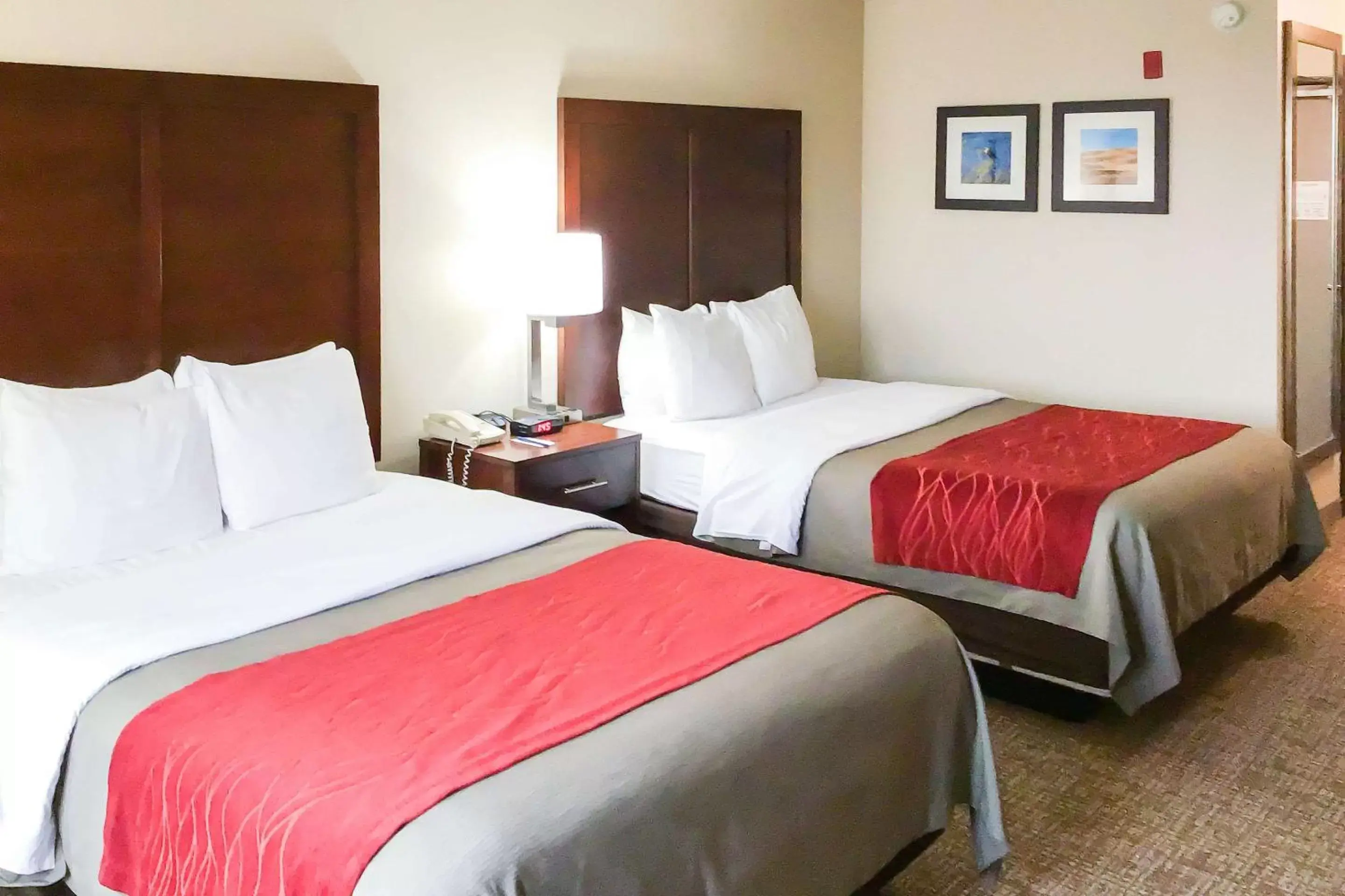 Photo of the whole room, Bed in Comfort Inn and Suites Yuma I-8