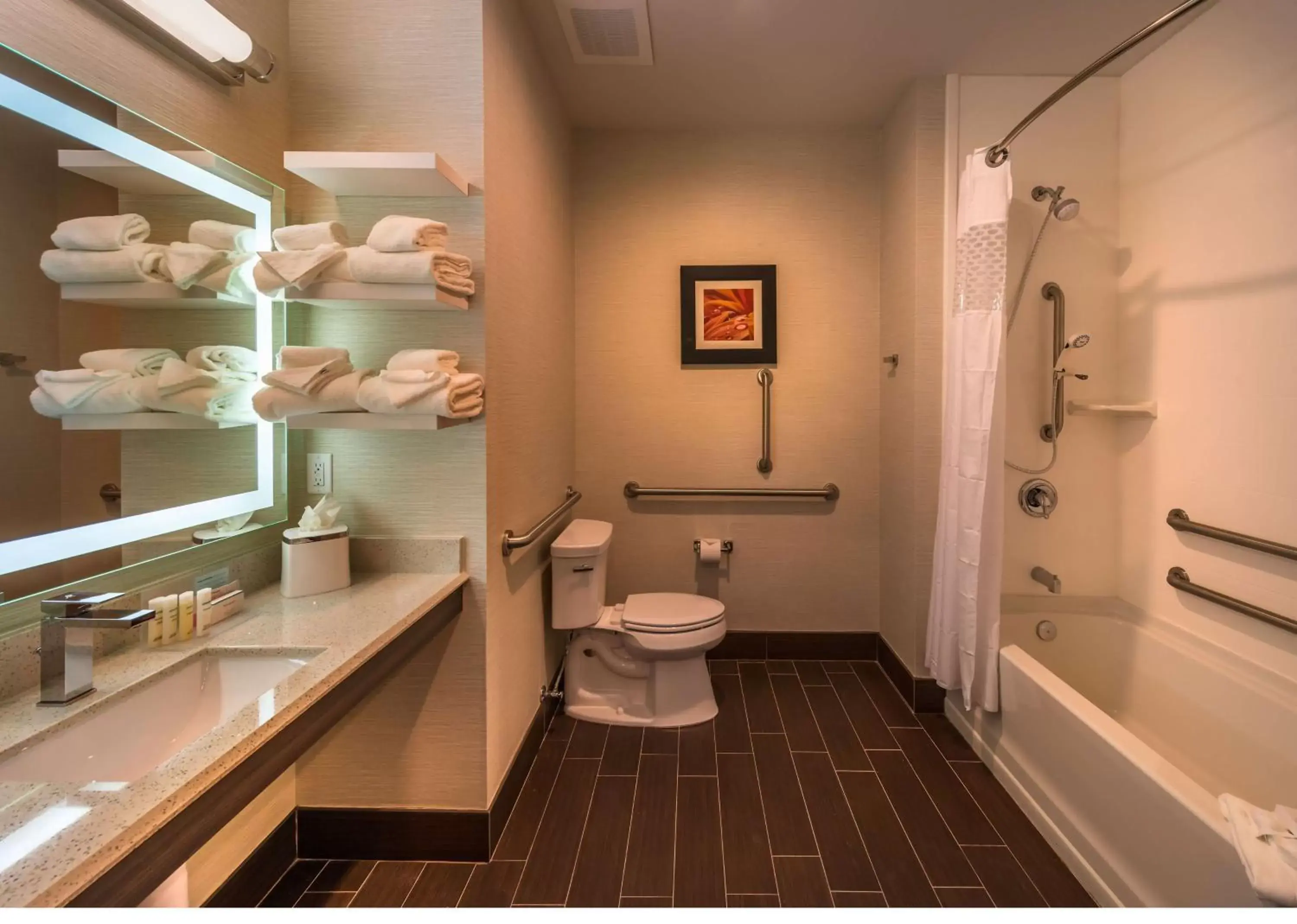 Bathroom in Hampton Inn & Suites - Reno West, NV