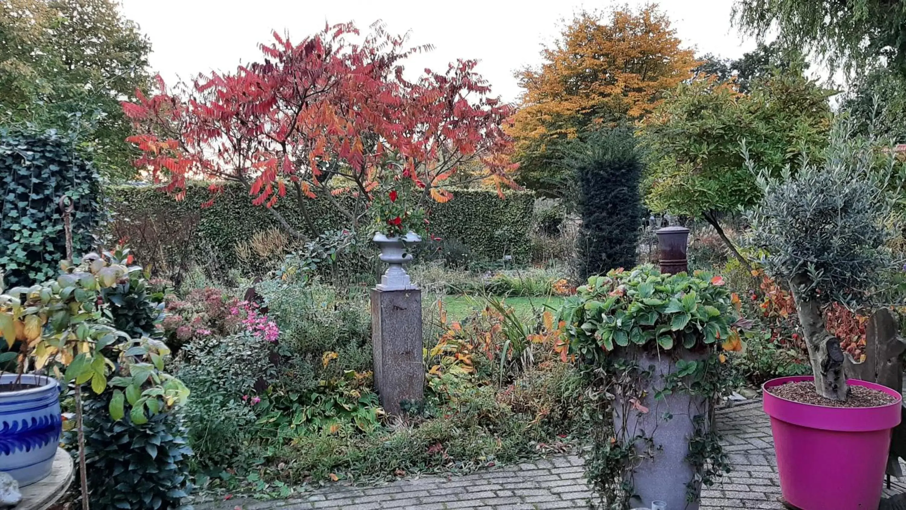 Garden in Casa di Fiore