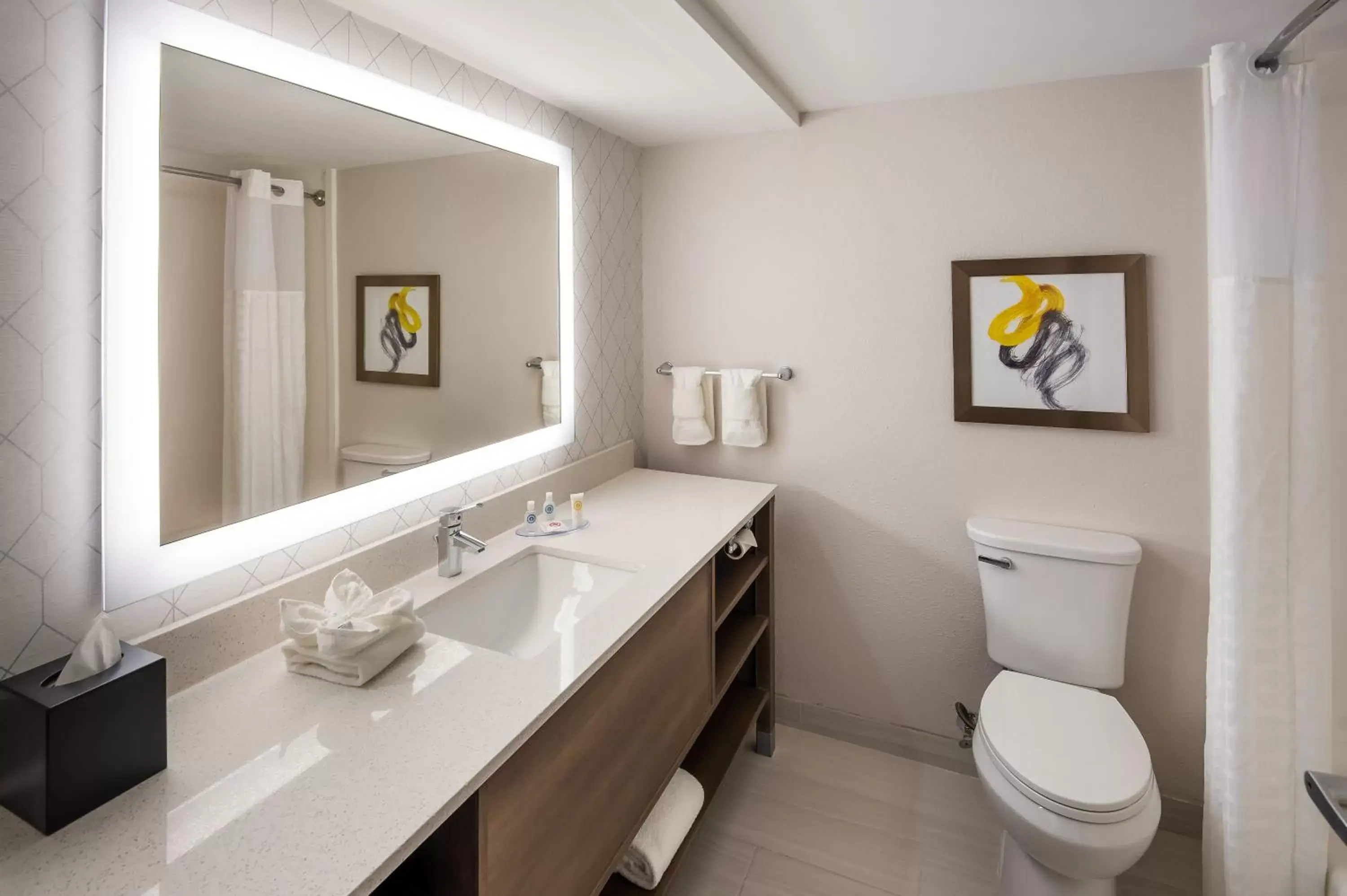 Toilet, Bathroom in Comfort Inn & Suites Fishers - Indianapolis