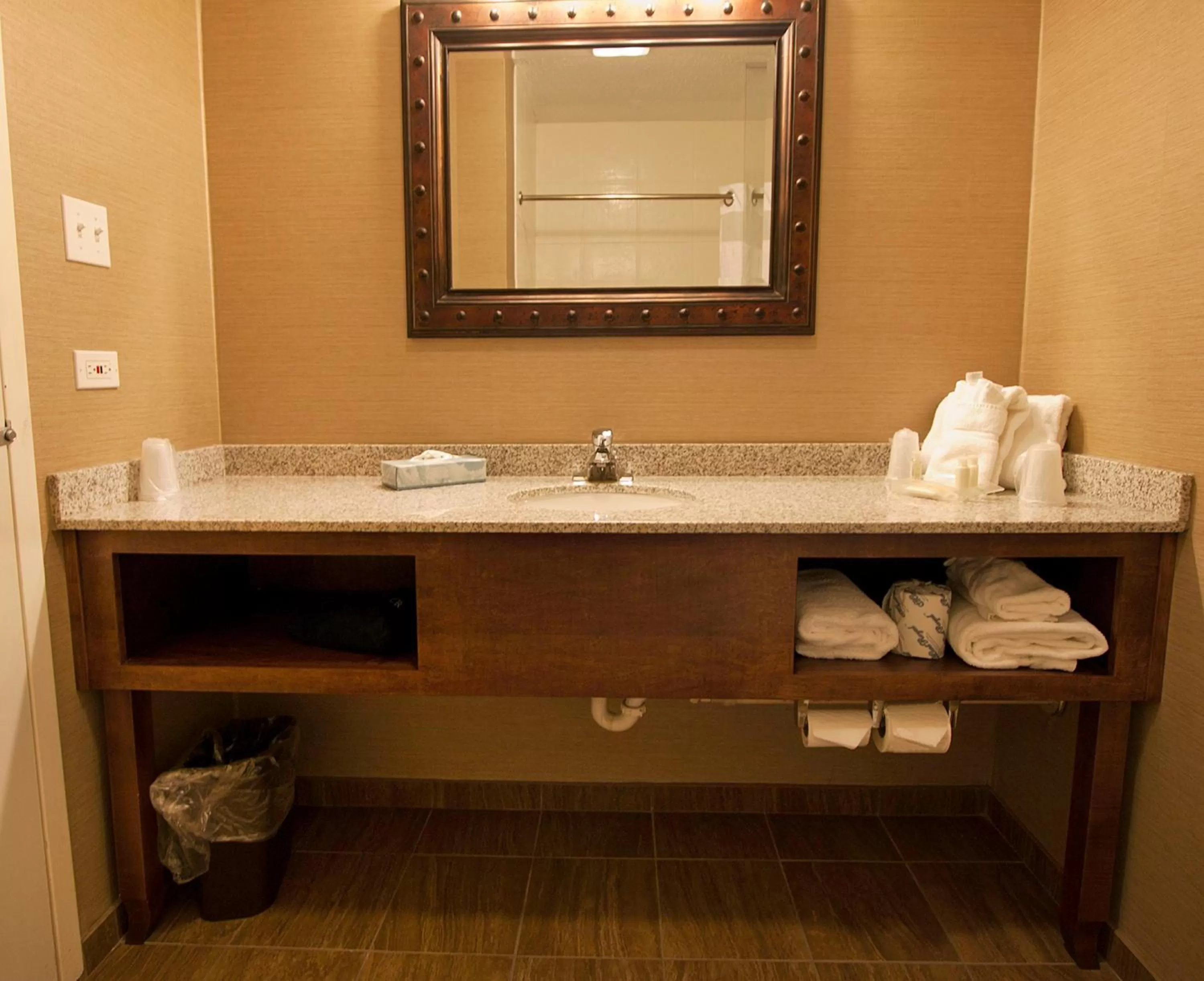 Bathroom in Buffalo Airport Hotel