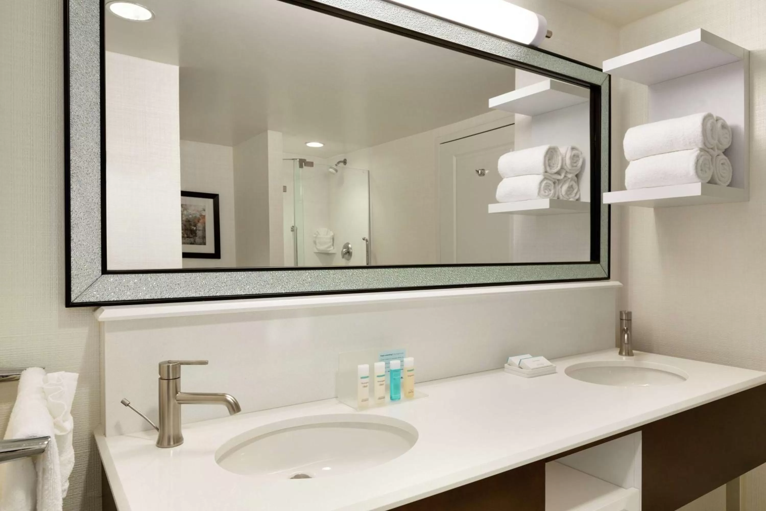 Bathroom in Hampton Inn & Suites Nashville-Downtown