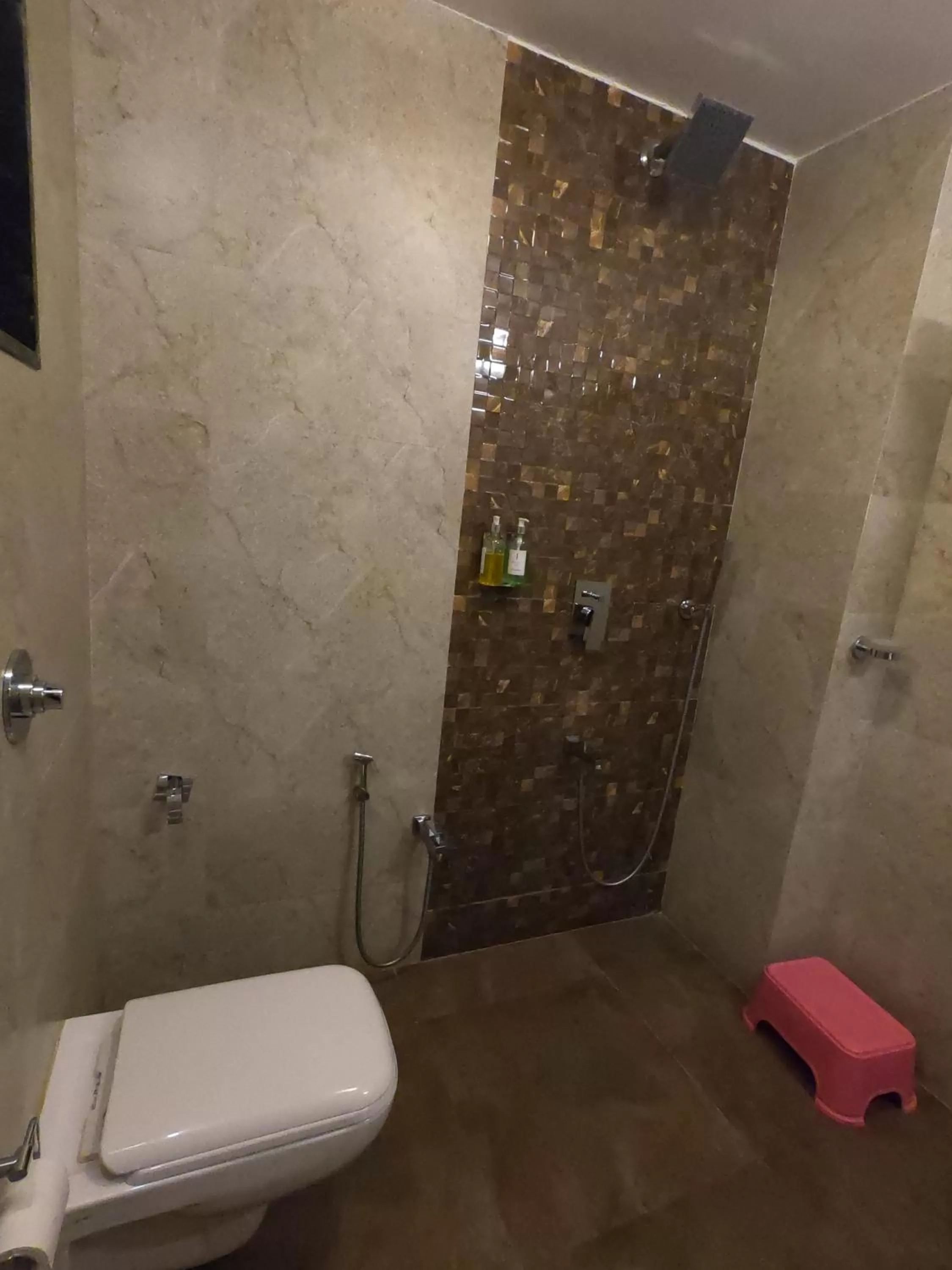 Bathroom in Jivanta Mahabaleshwar