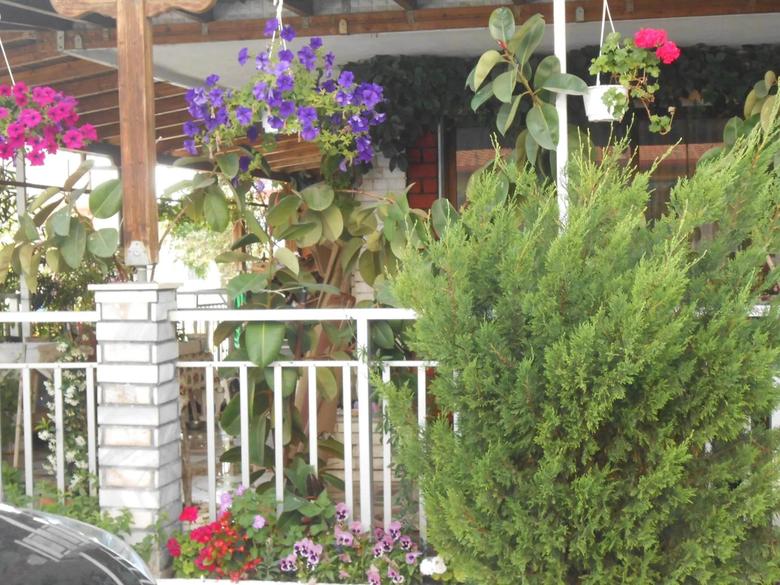 On site in Hotel Germany