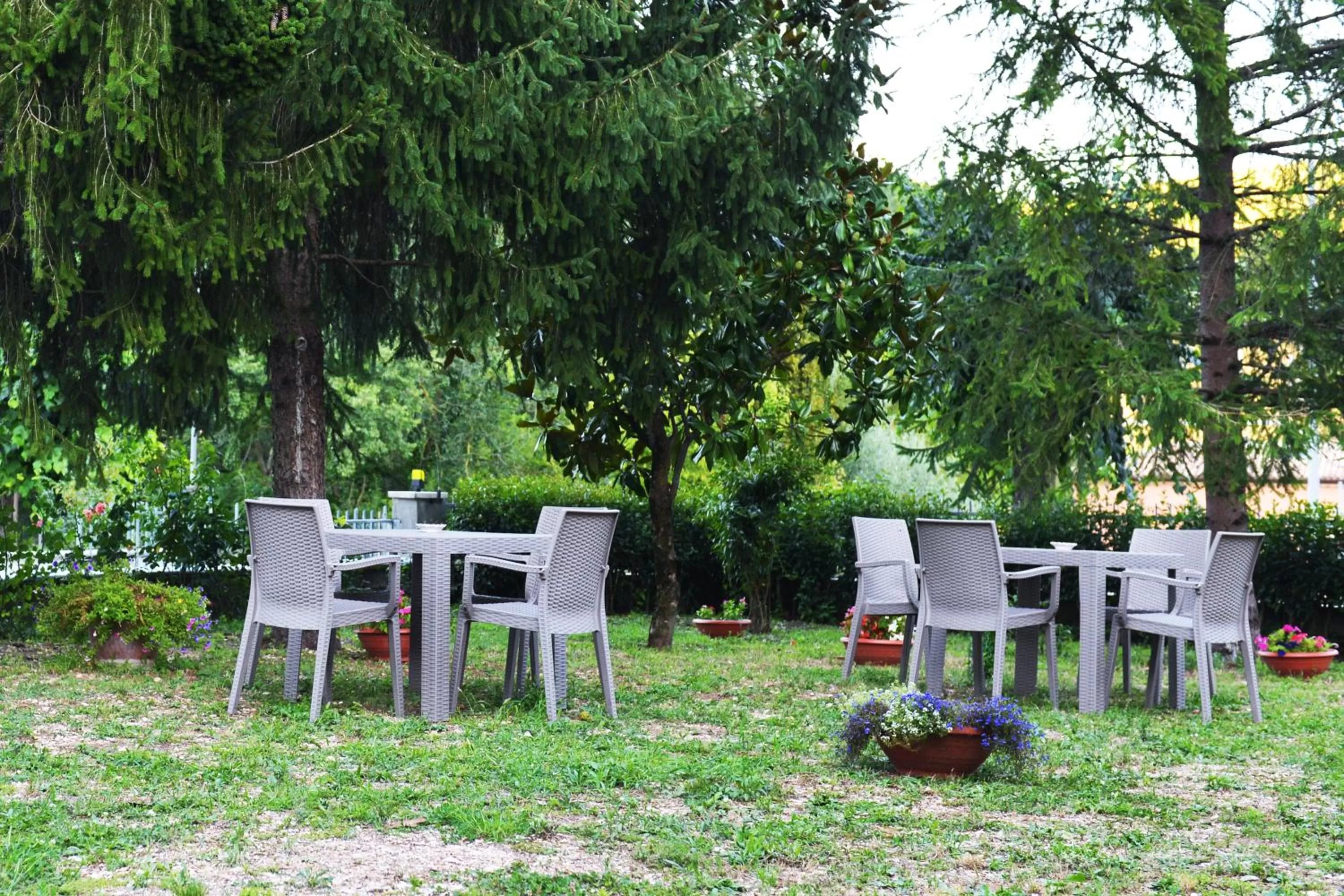 Garden view in B&B Vetralla