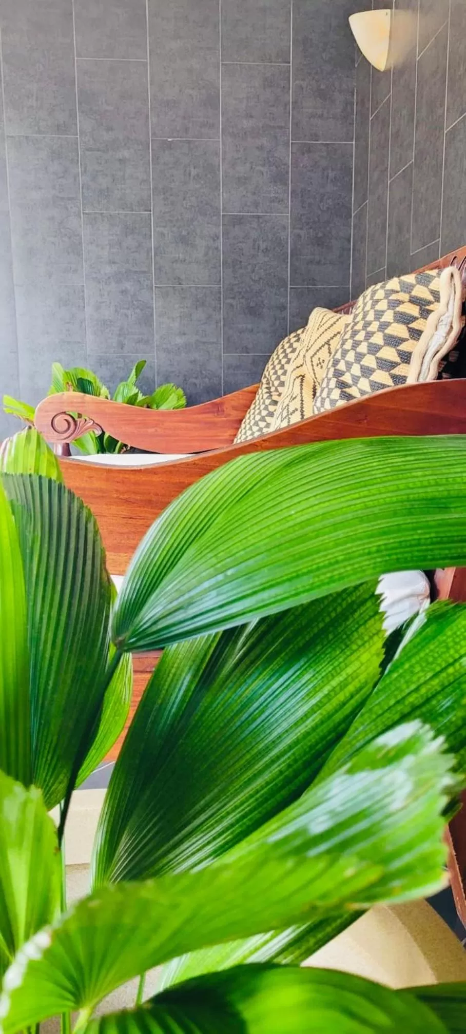 Lobby or reception in Hotel Mango Airport