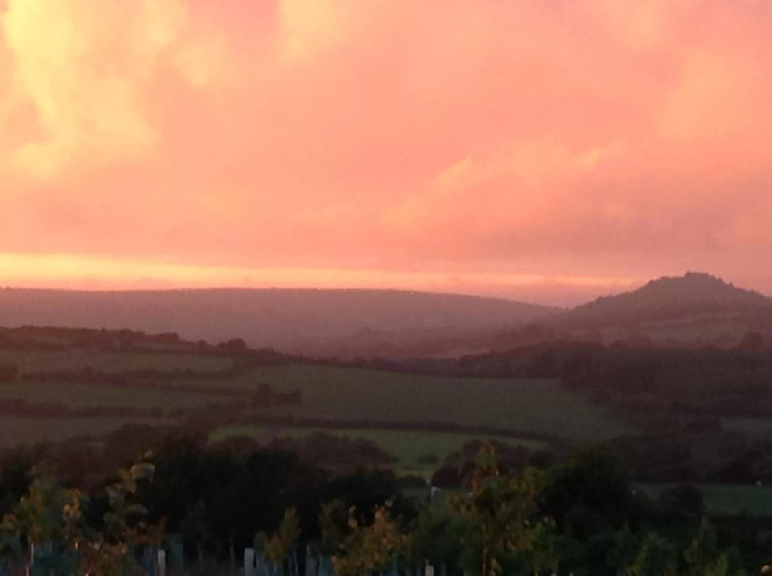Natural landscape in Treganoon House, Lanlivery