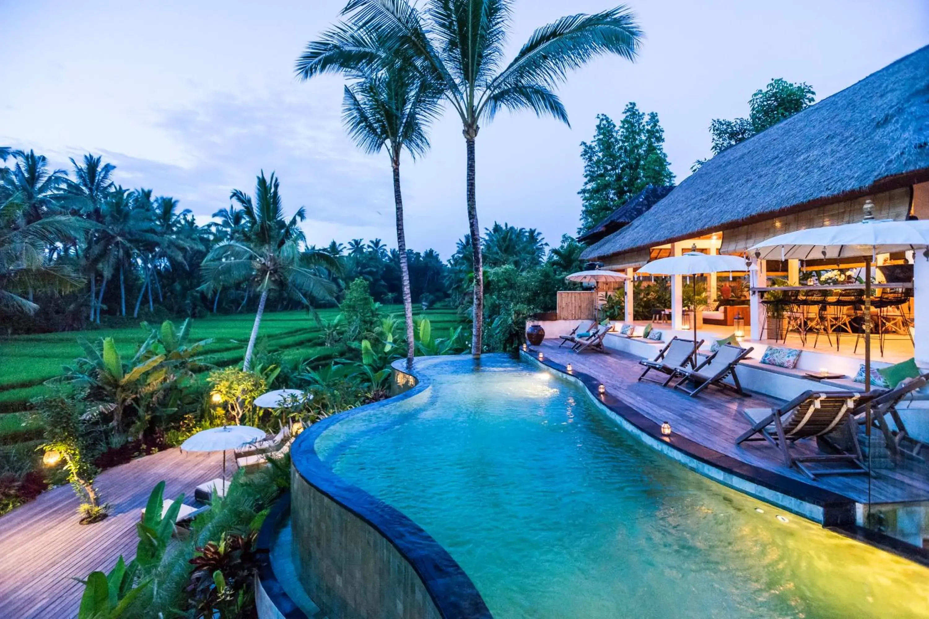 Pool view, Swimming Pool in Calma Ubud Suite & Villas