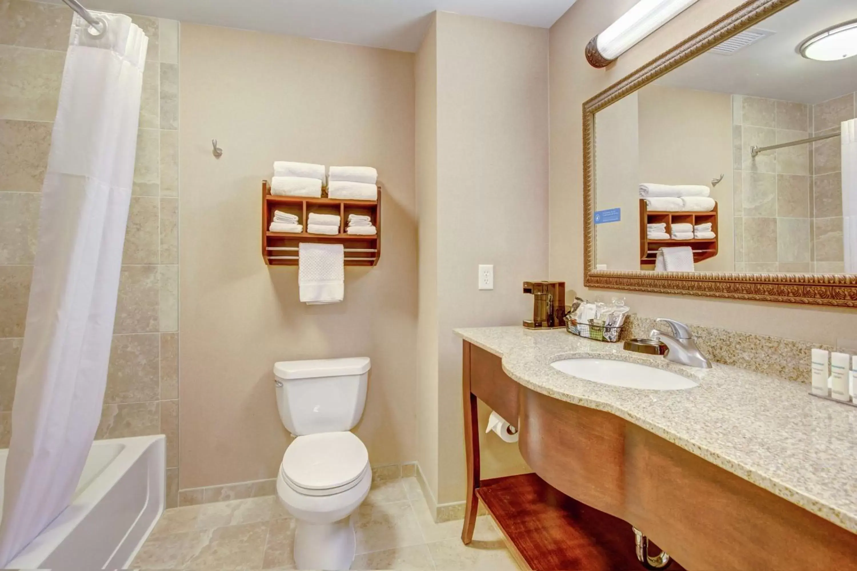 Bathroom in Hampton Inn and Suites Alexandria