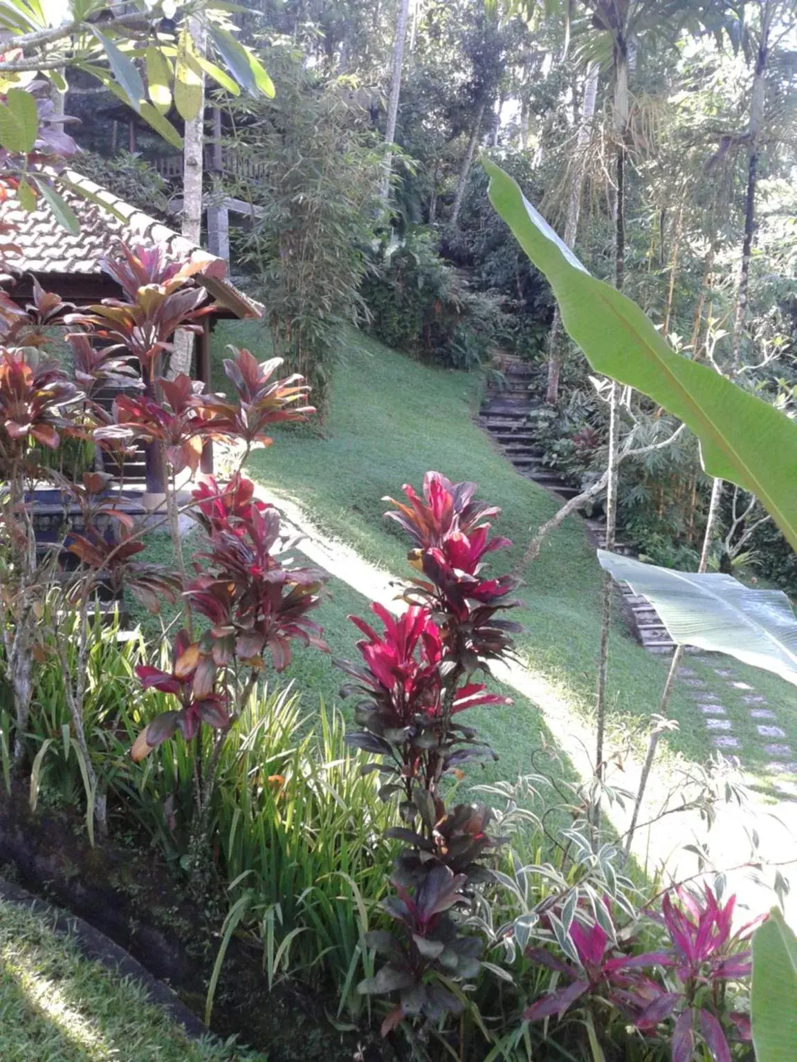 Neighbourhood, Garden in Anahata Villas and Spa Resort