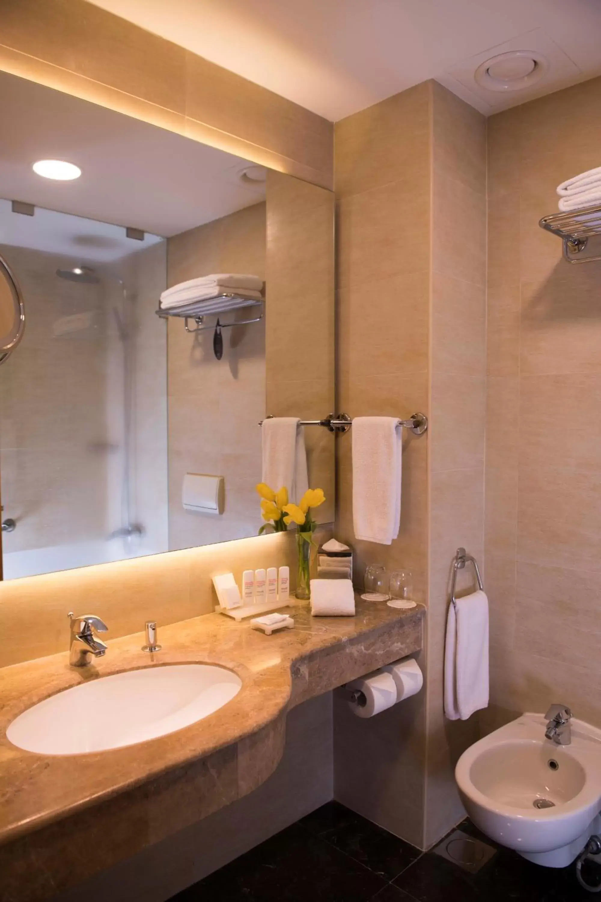 Toilet, Bathroom in Radisson Blu Hotel, Beirut Verdun