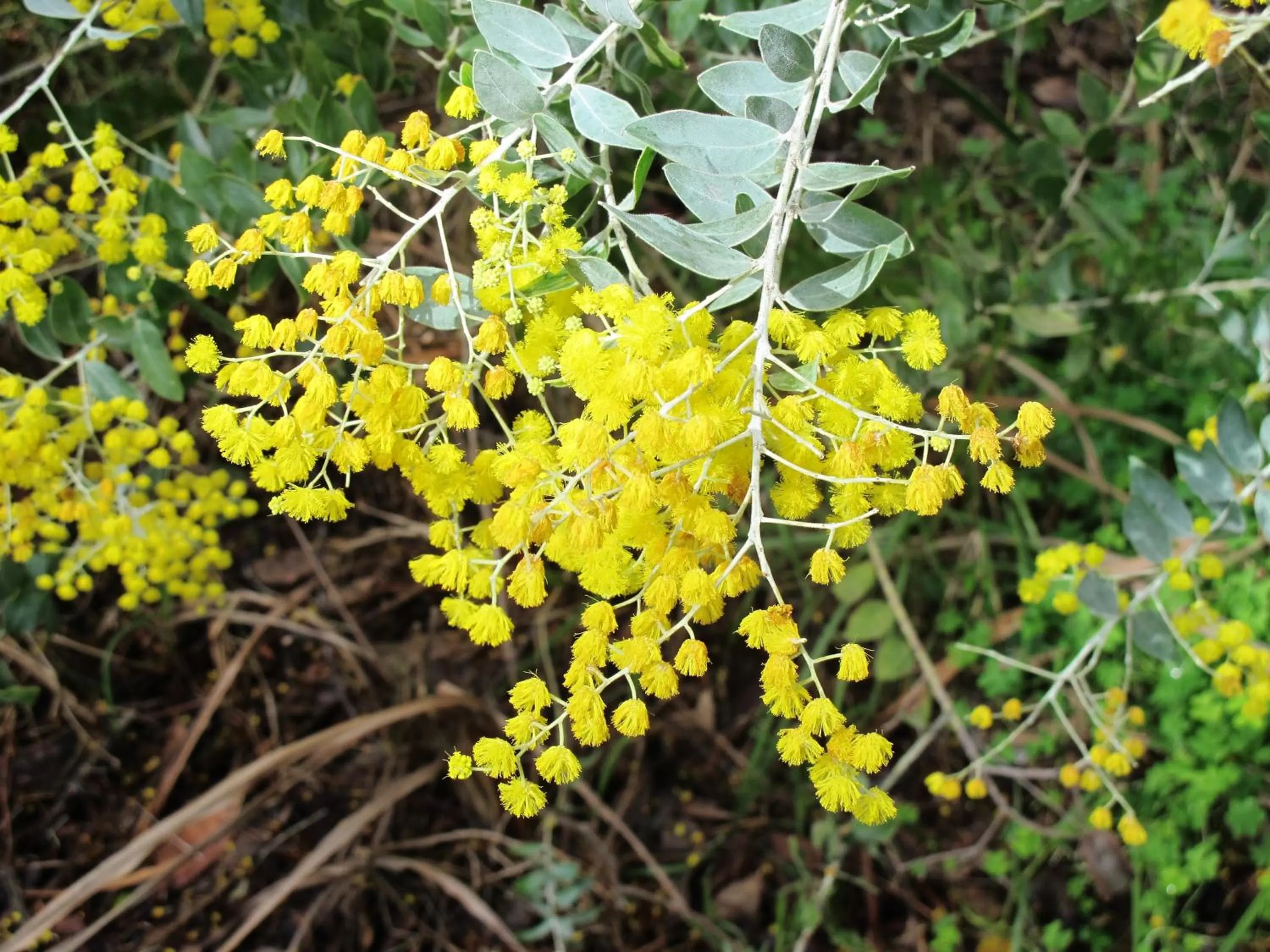 Other in Darby Park Serviced Residences