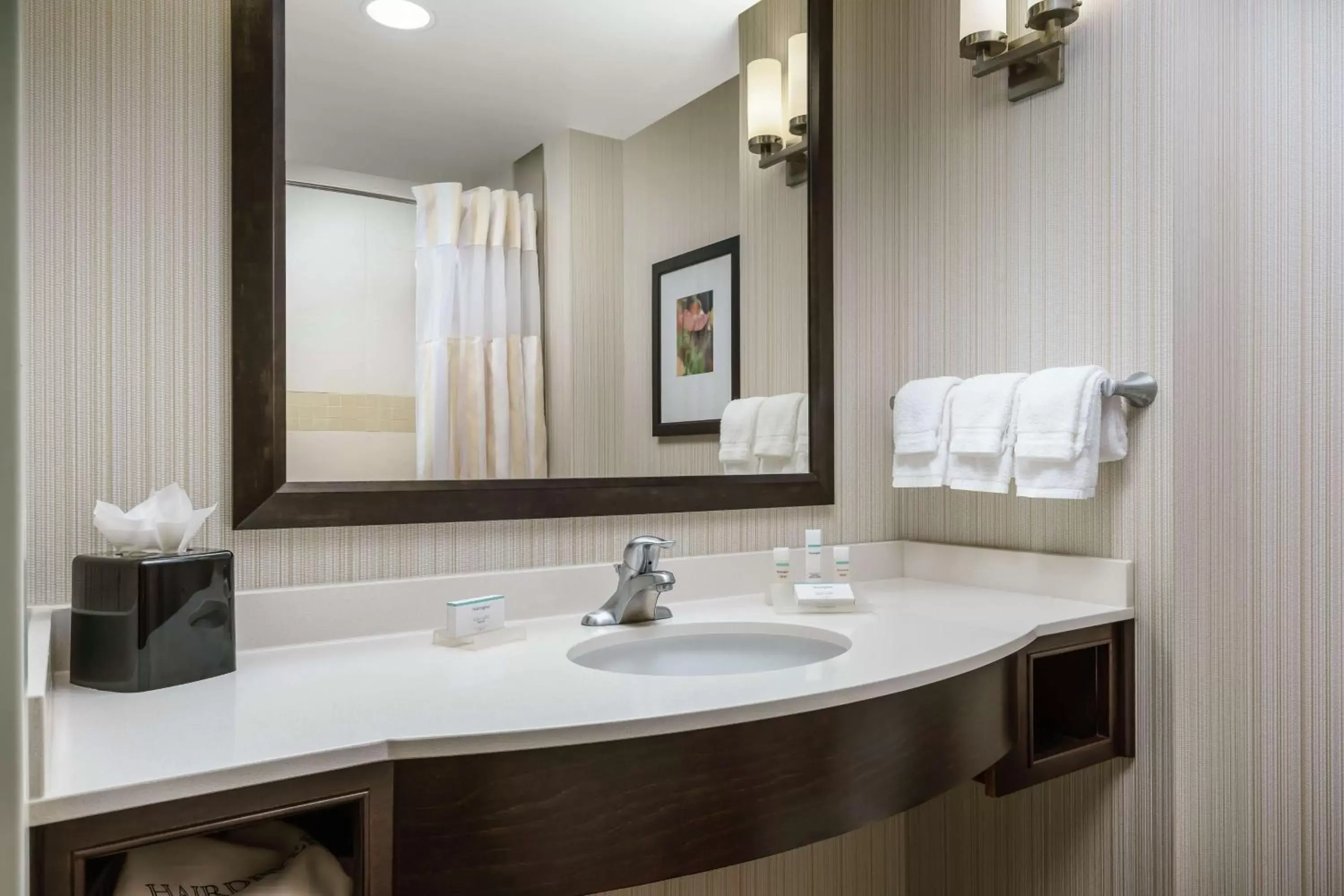 Bathroom in Hilton Garden Inn Exton-West Chester