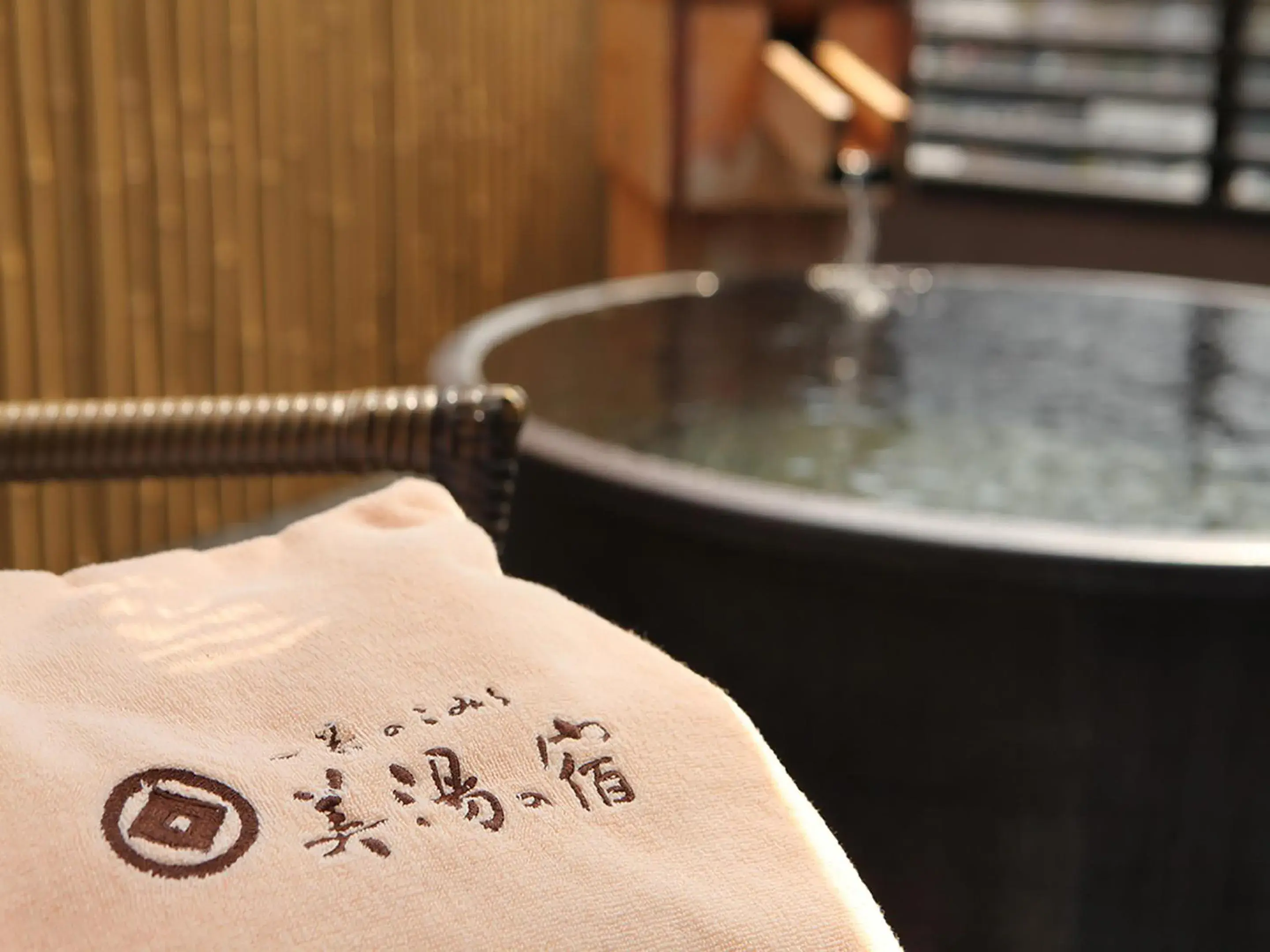 Hot Spring Bath in Ryokan Biyunoyado