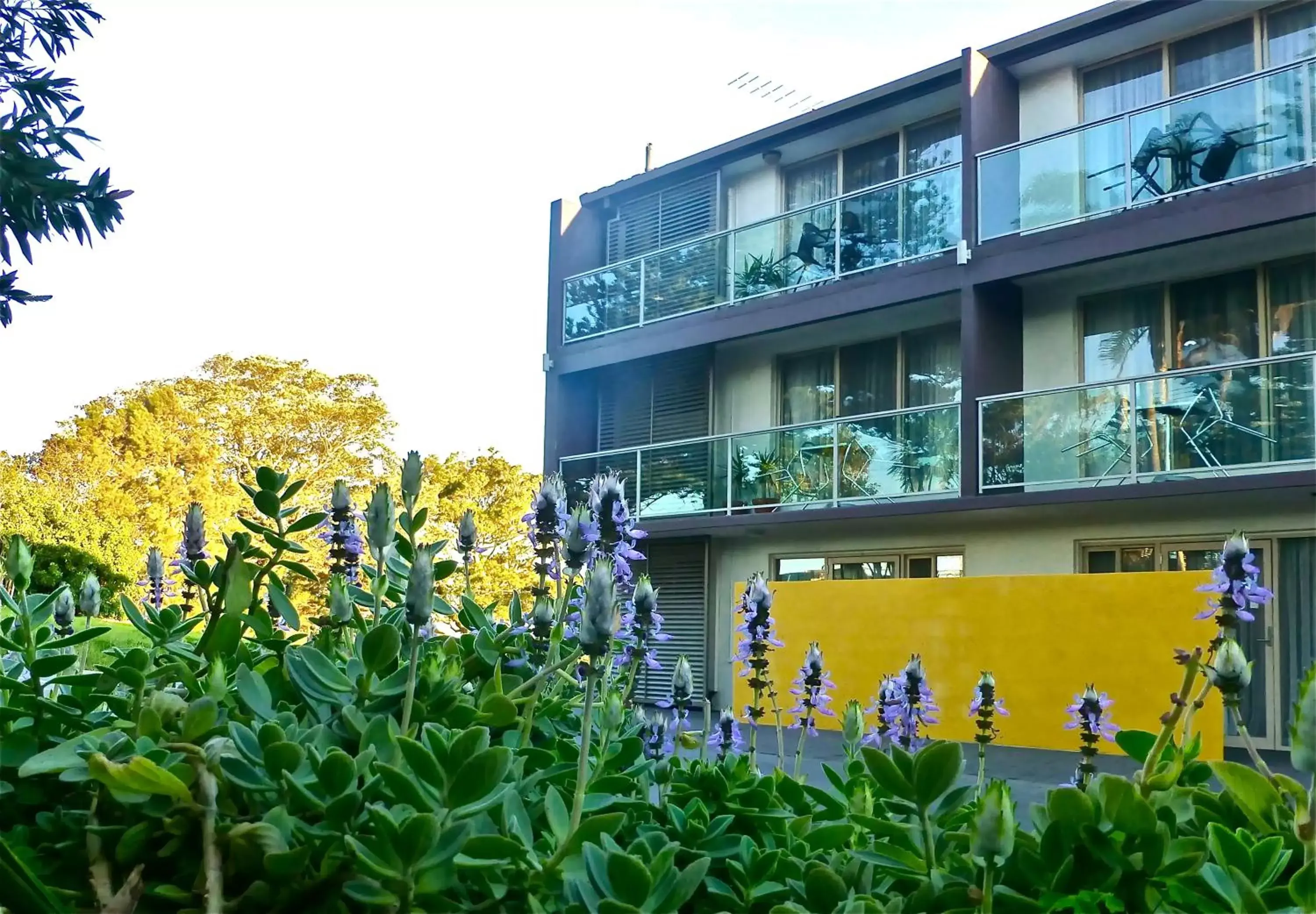 Facade/entrance, Property Building in Park Ridge Retreat