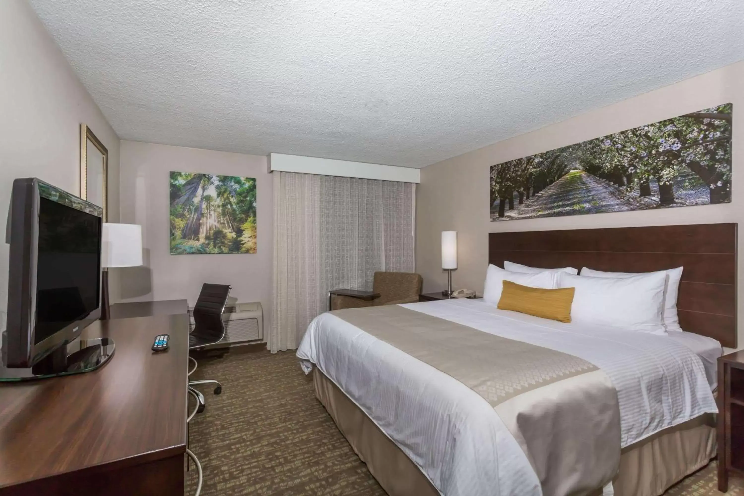 Photo of the whole room, Bed in Wyndham Garden Fresno Yosemite Airport Photo of the whole room, Bed in Wyndham Garden Fresno Yosemite Airport
