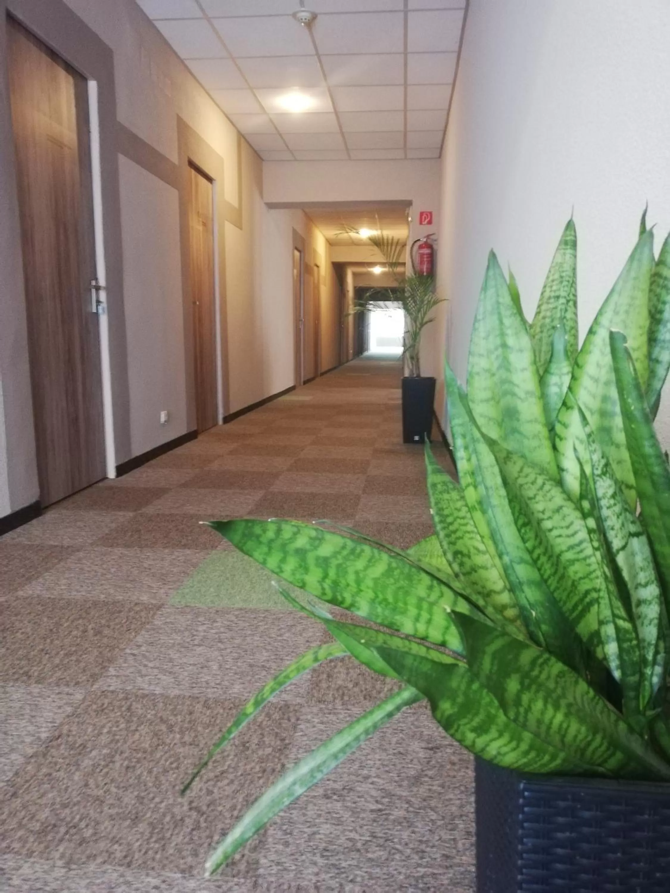 Area and facilities in Sport Hotel