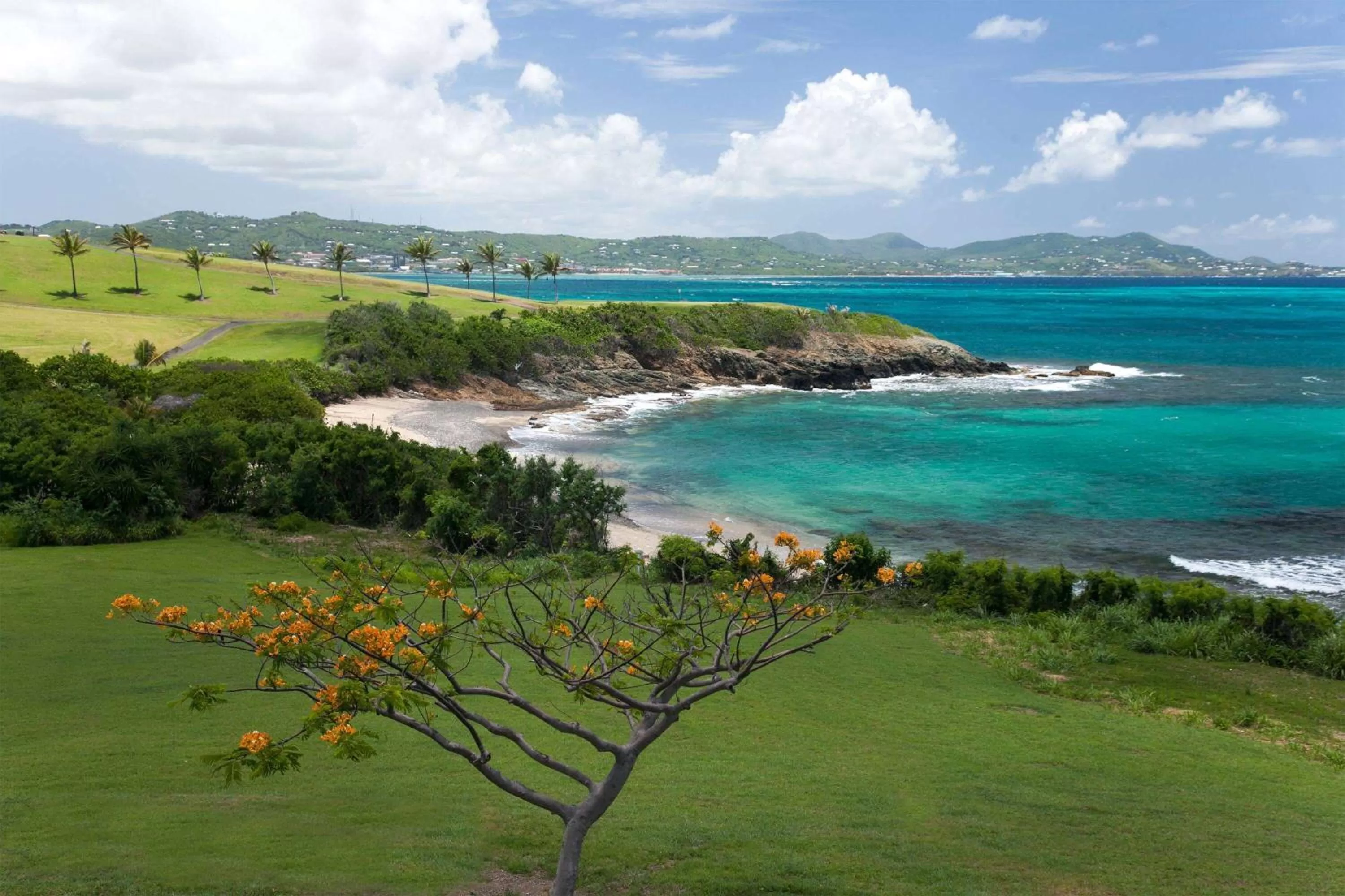 Natural landscape in The Buccaneer Beach & Golf Resort