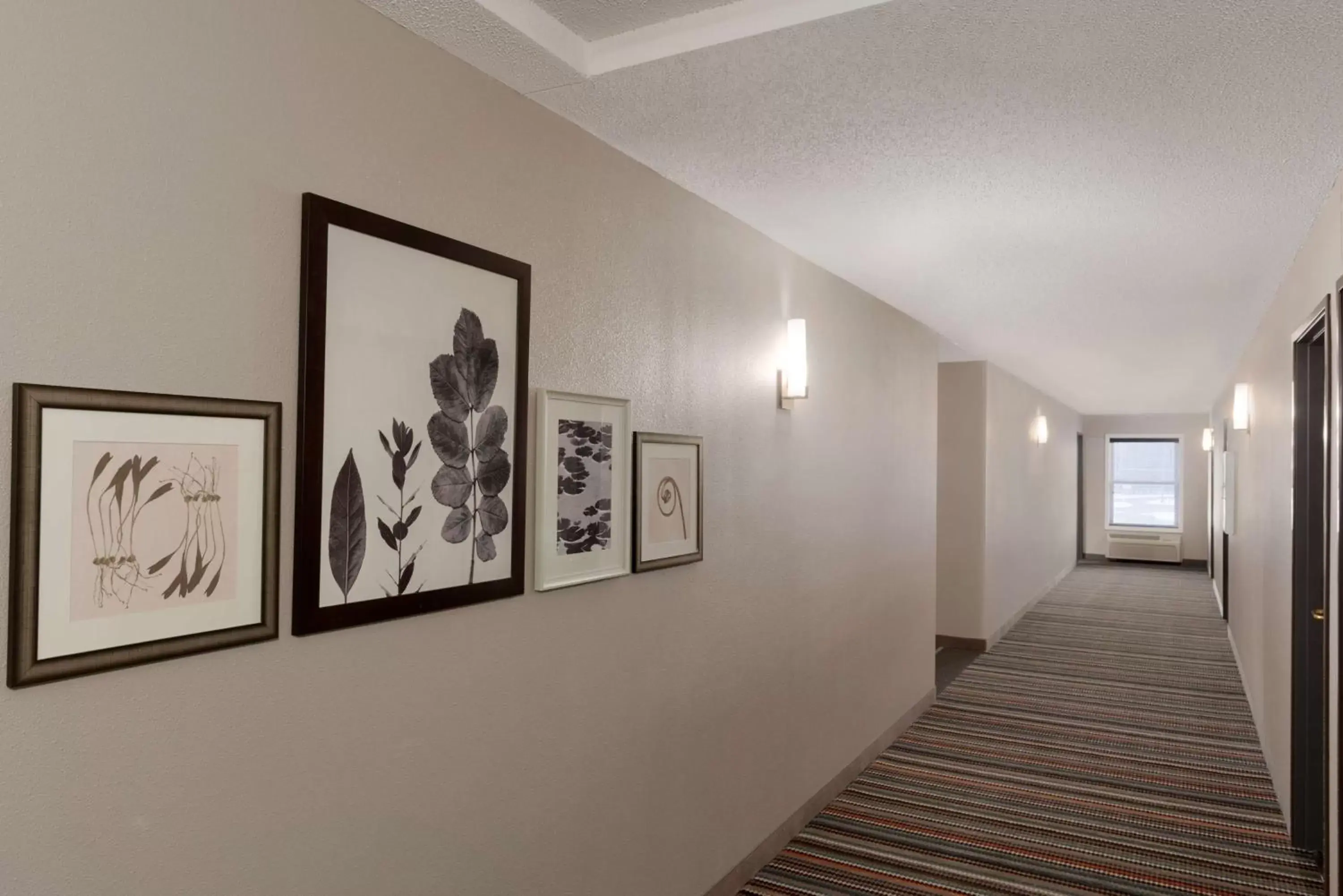Other in Country Inn & Suites by Radisson, Chippewa Falls, WI