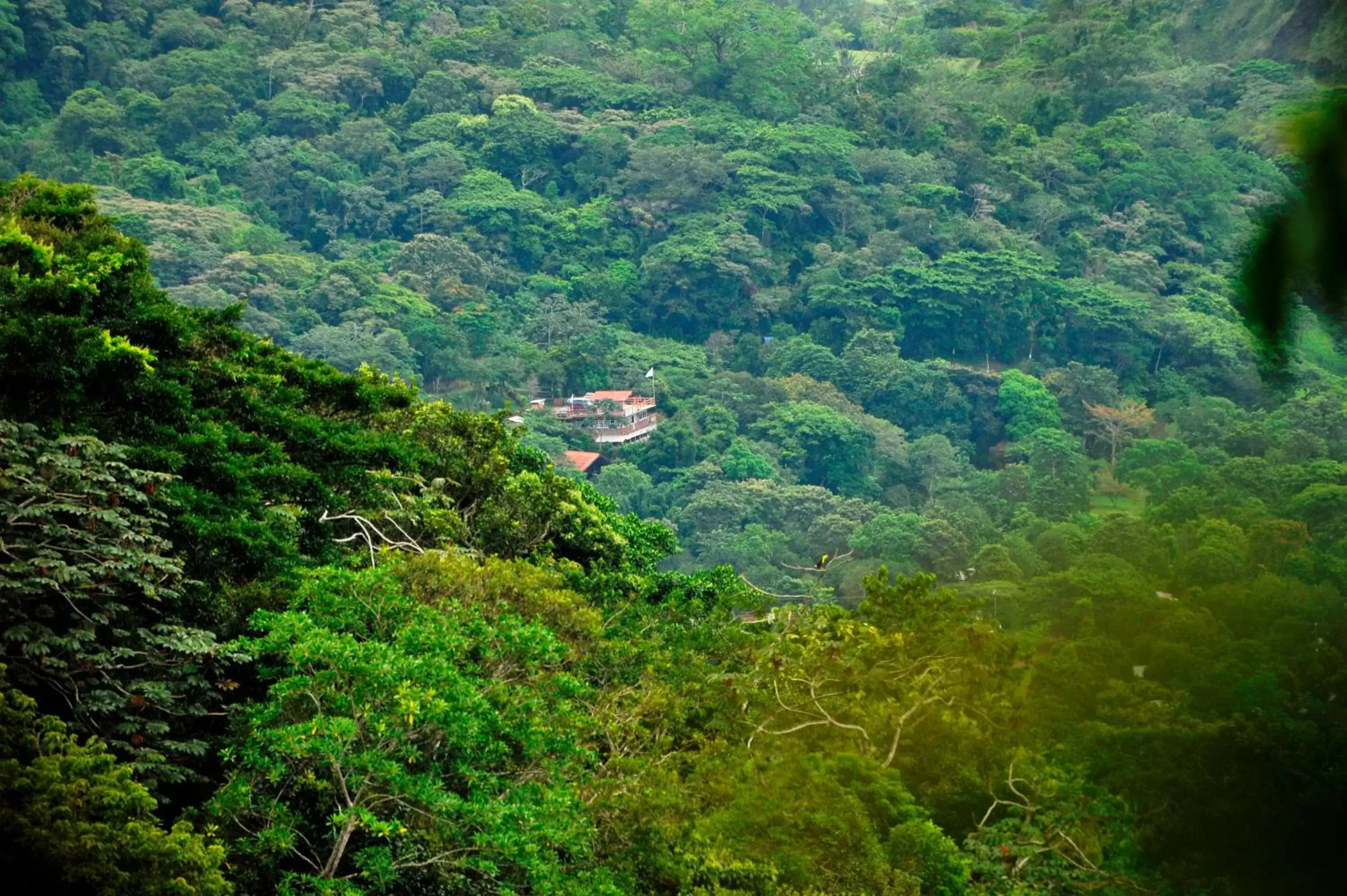 Property building, Natural Landscape in Ecobiosfera