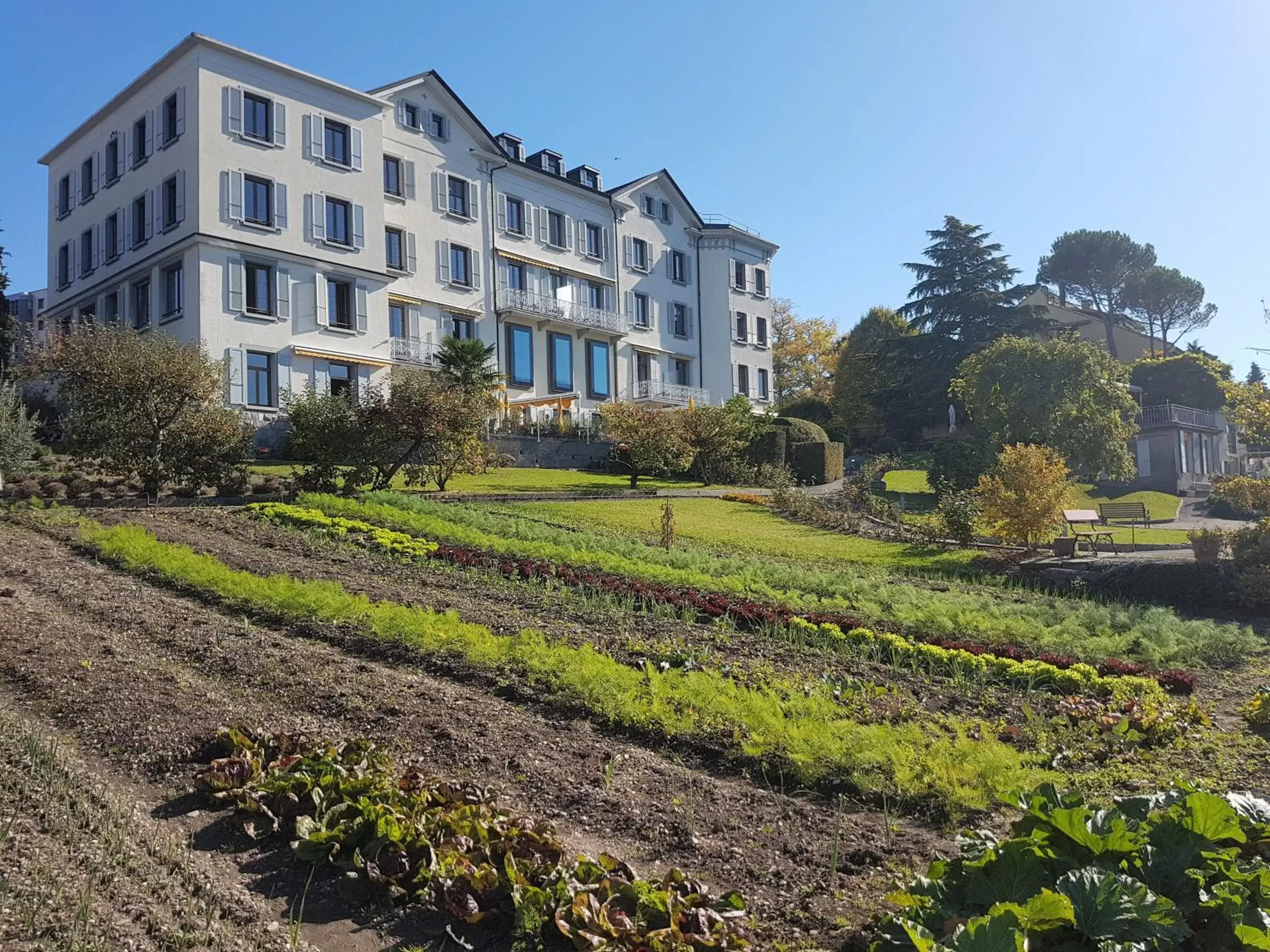 Garden, Property Building in Hôtel Bon Rivage