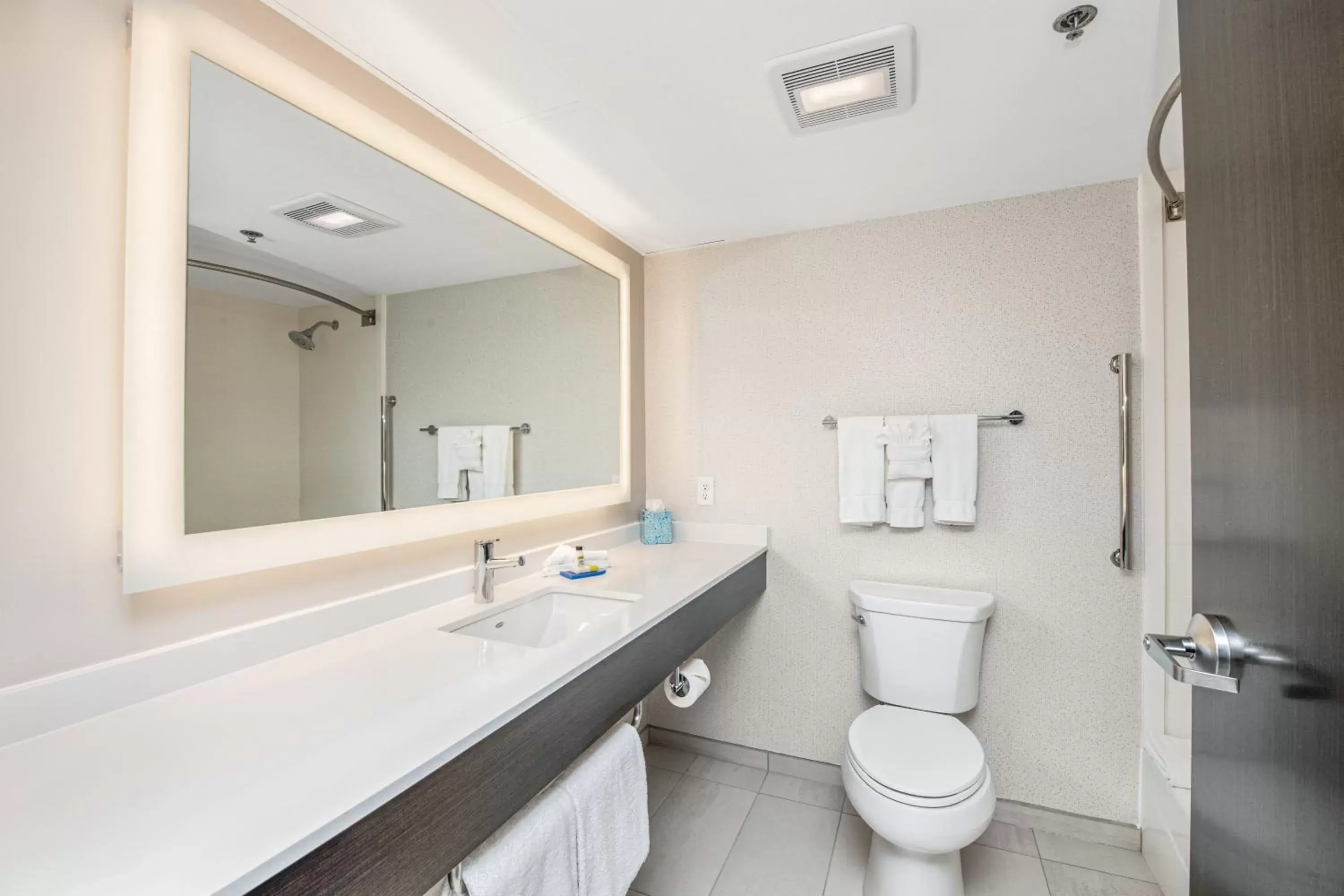 Bathroom in Holiday Inn Express - Delafield, an IHG Hotel