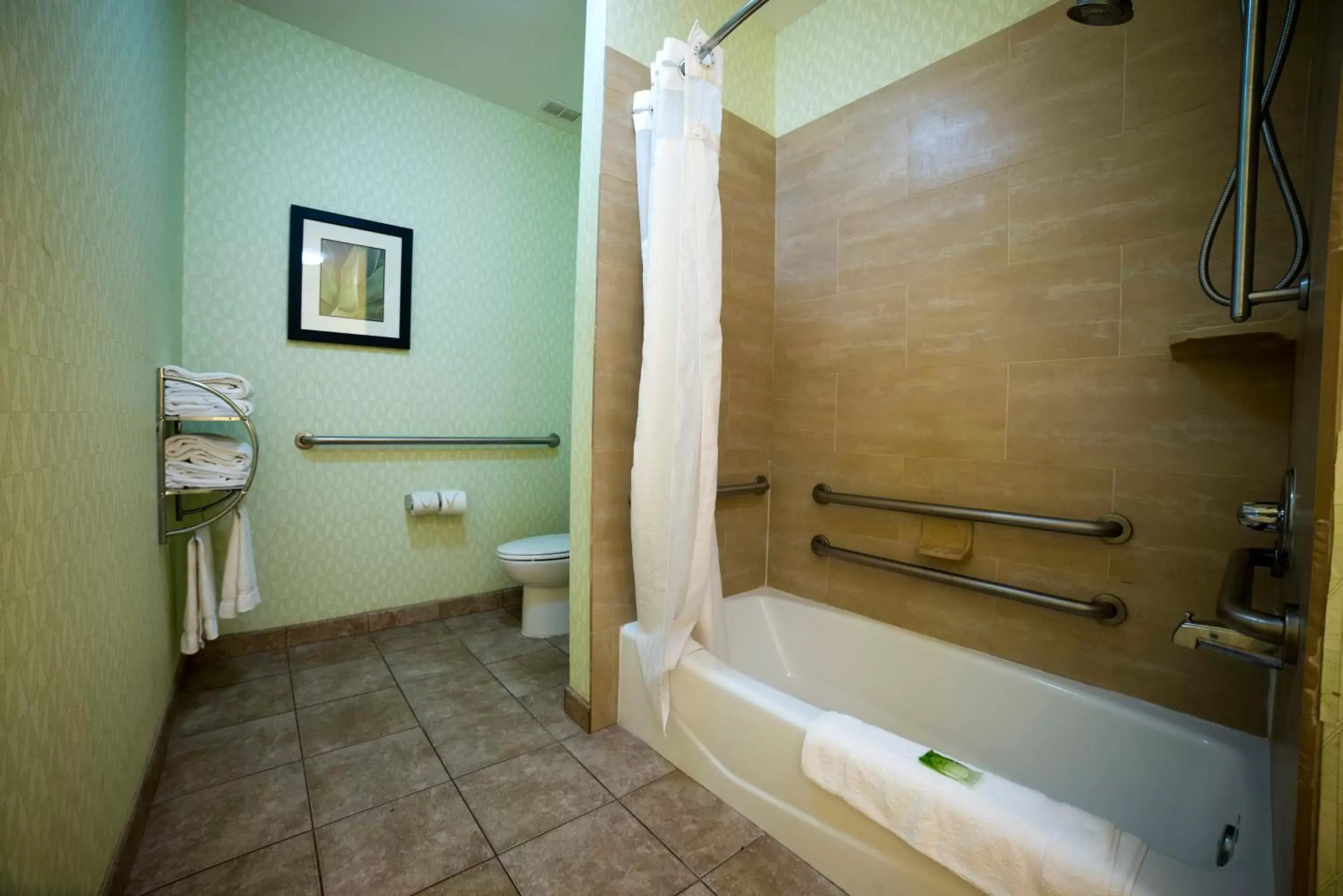 King Room with Roll In Shower - Disability Access/Non-Smoking in Holiday Inn Express Hotel & Suites Atlanta East - Lithonia, an IHG Hotel King Room with Roll In Shower - Disability Access/Non-Smoking in Holiday Inn Express Hotel & Suites Atlanta East - Lithonia, an IHG Hotel