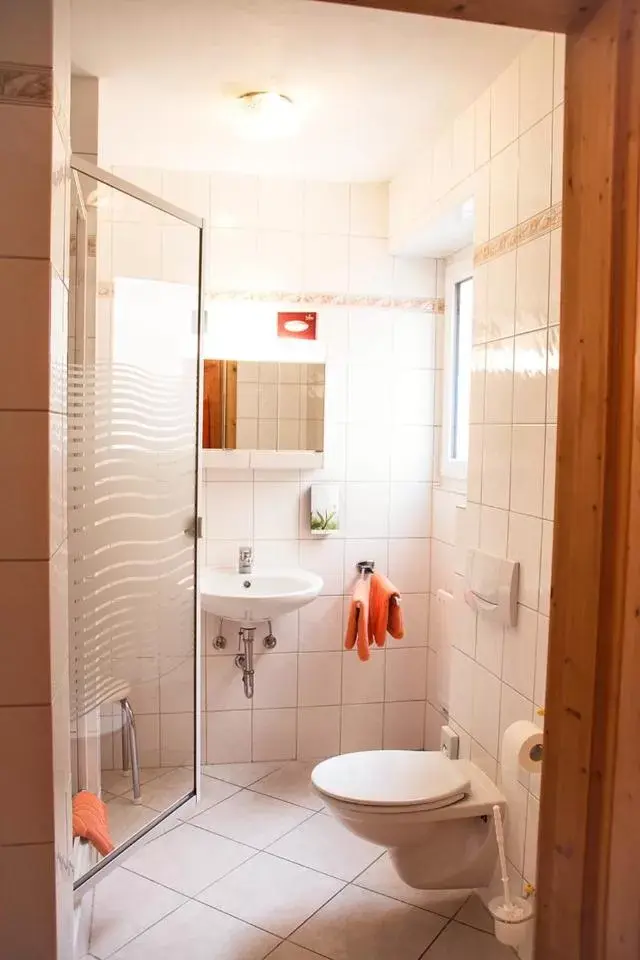 Double Room - single occupancy in Landhotel Weißer Hahn Double Room - single occupancy in Landhotel Weißer Hahn