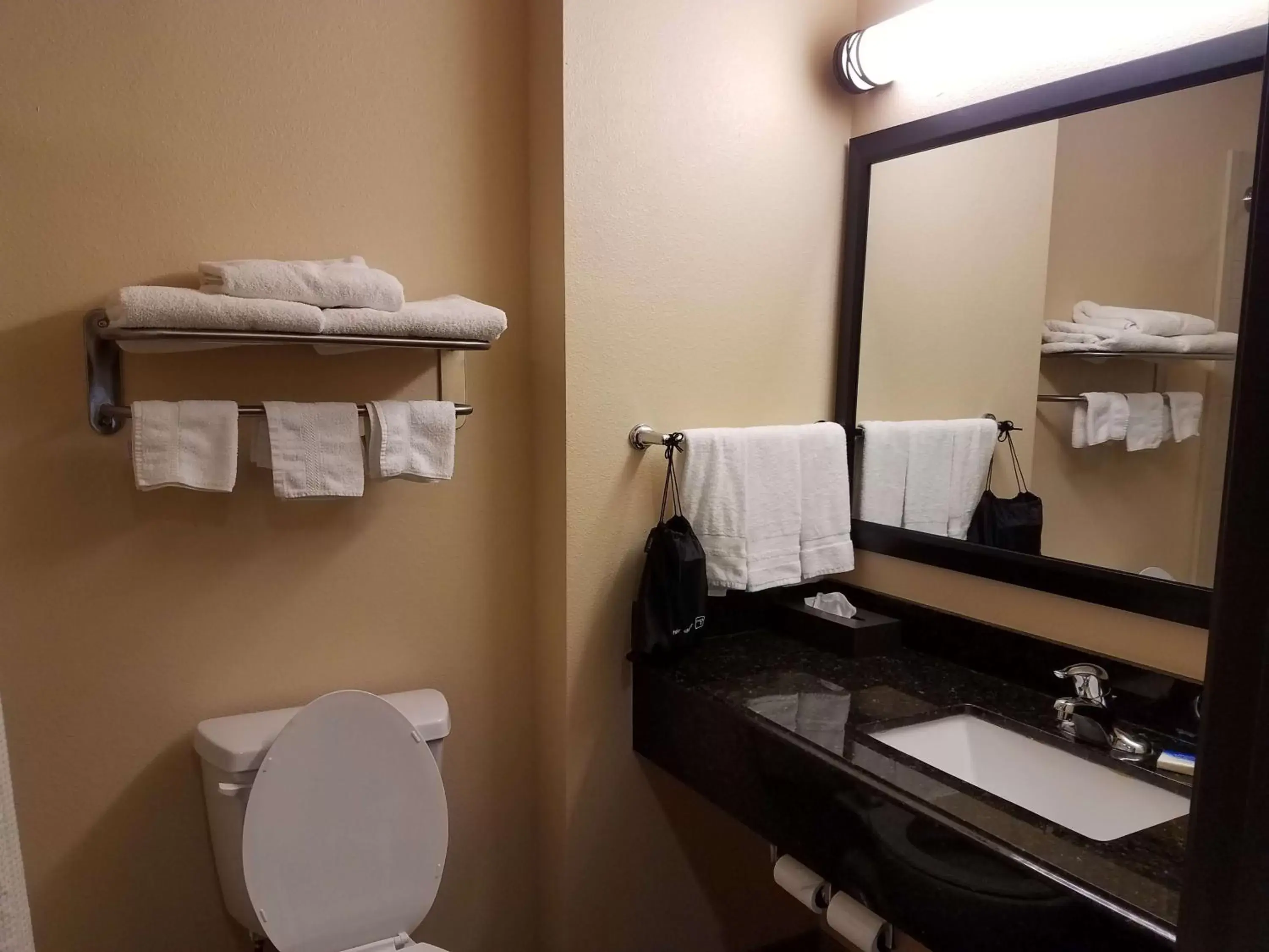 Photo of the whole room, Bathroom in Best Western Plus Goliad Inn & Suites