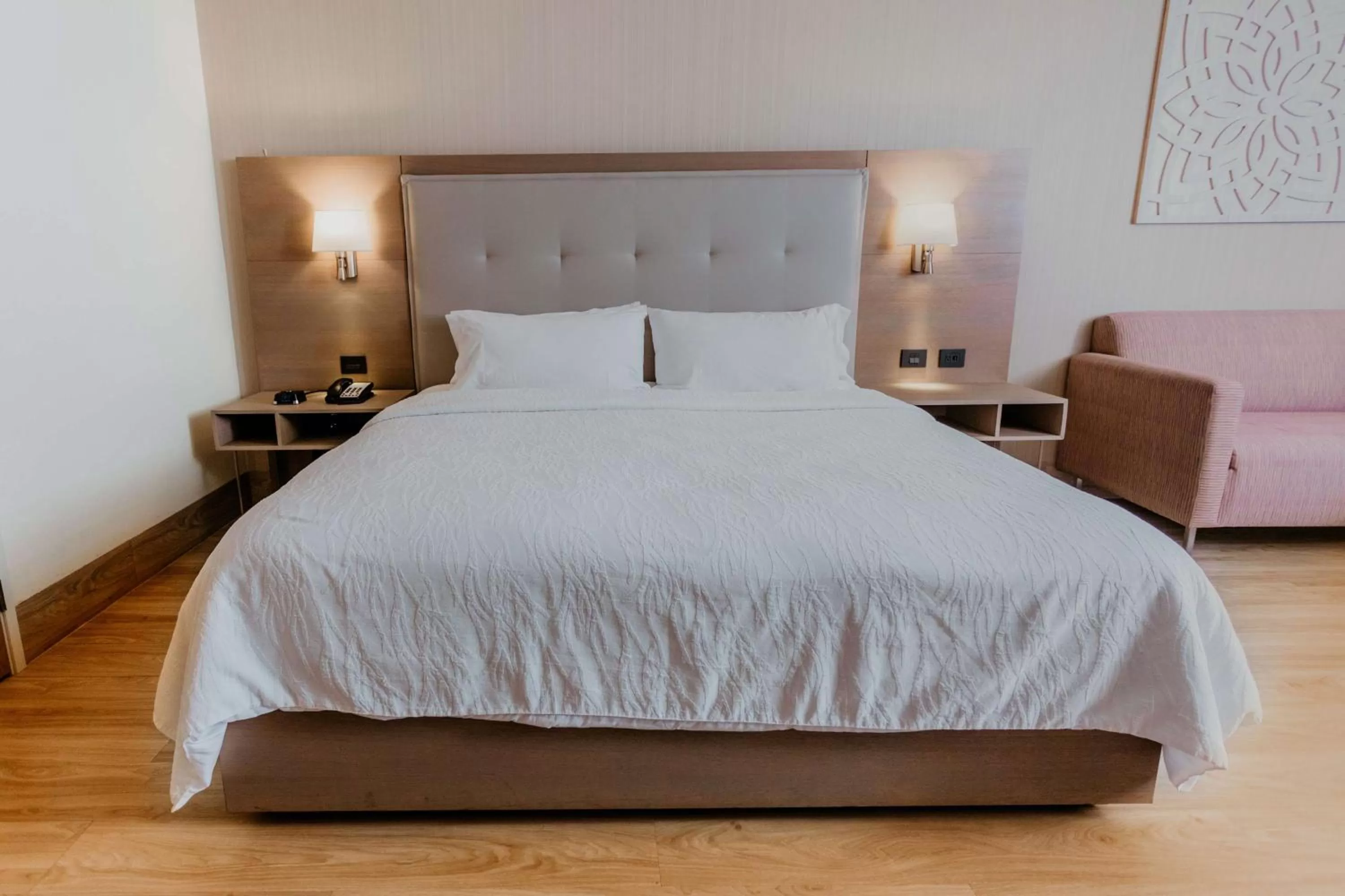 Living room, Bed in Hilton Garden Inn Silao Aeropuerto Bajio