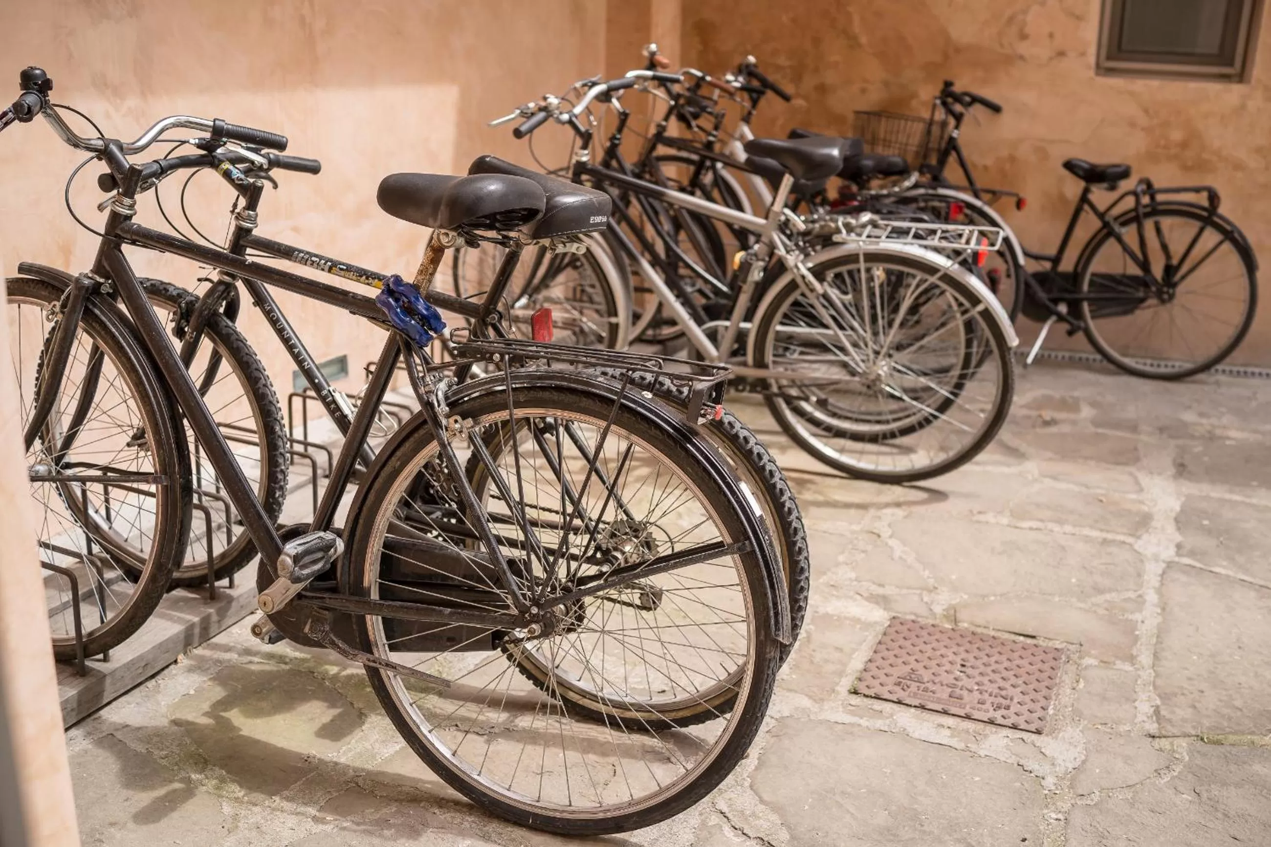 Area and facilities in Riva Lofts Florence