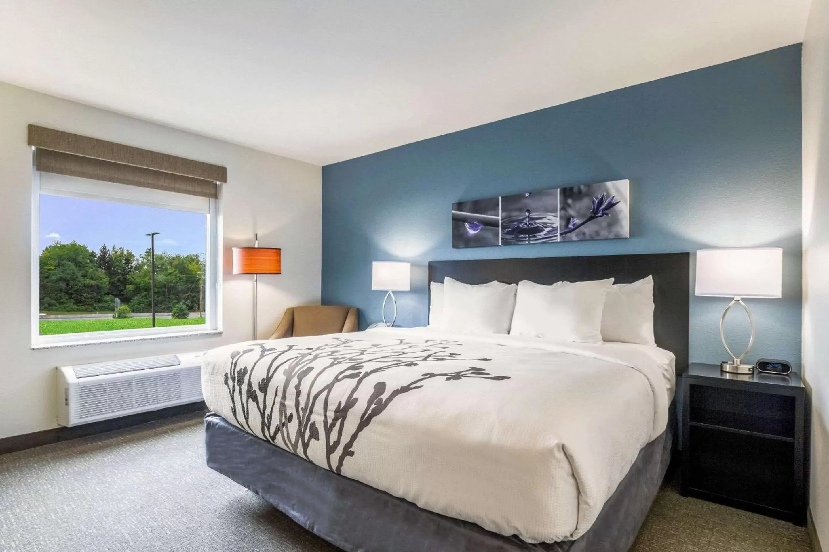 Bedroom, Bed in Sleep Inn Winfield - Teays Valley