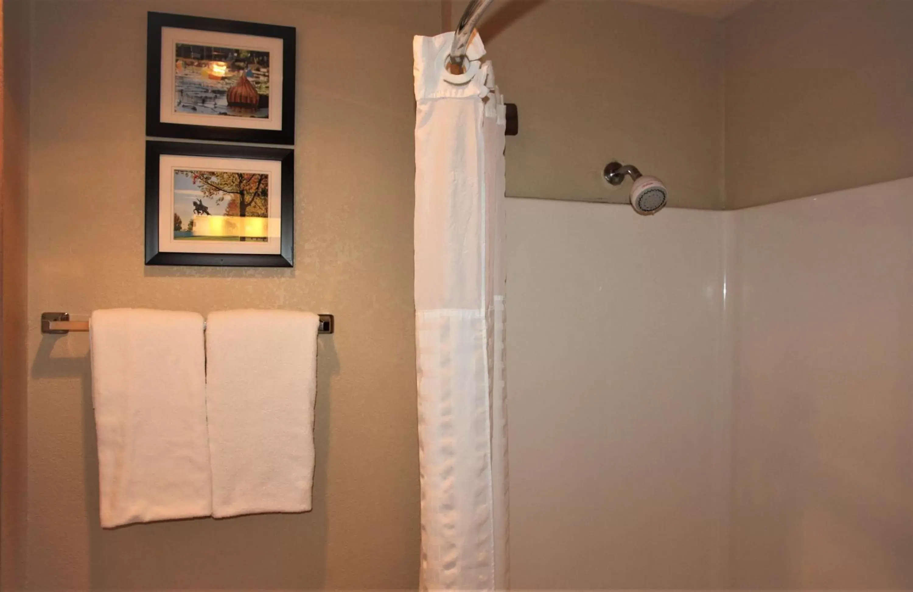 Bathroom in Comfort Inn & Suites - Chesterfield