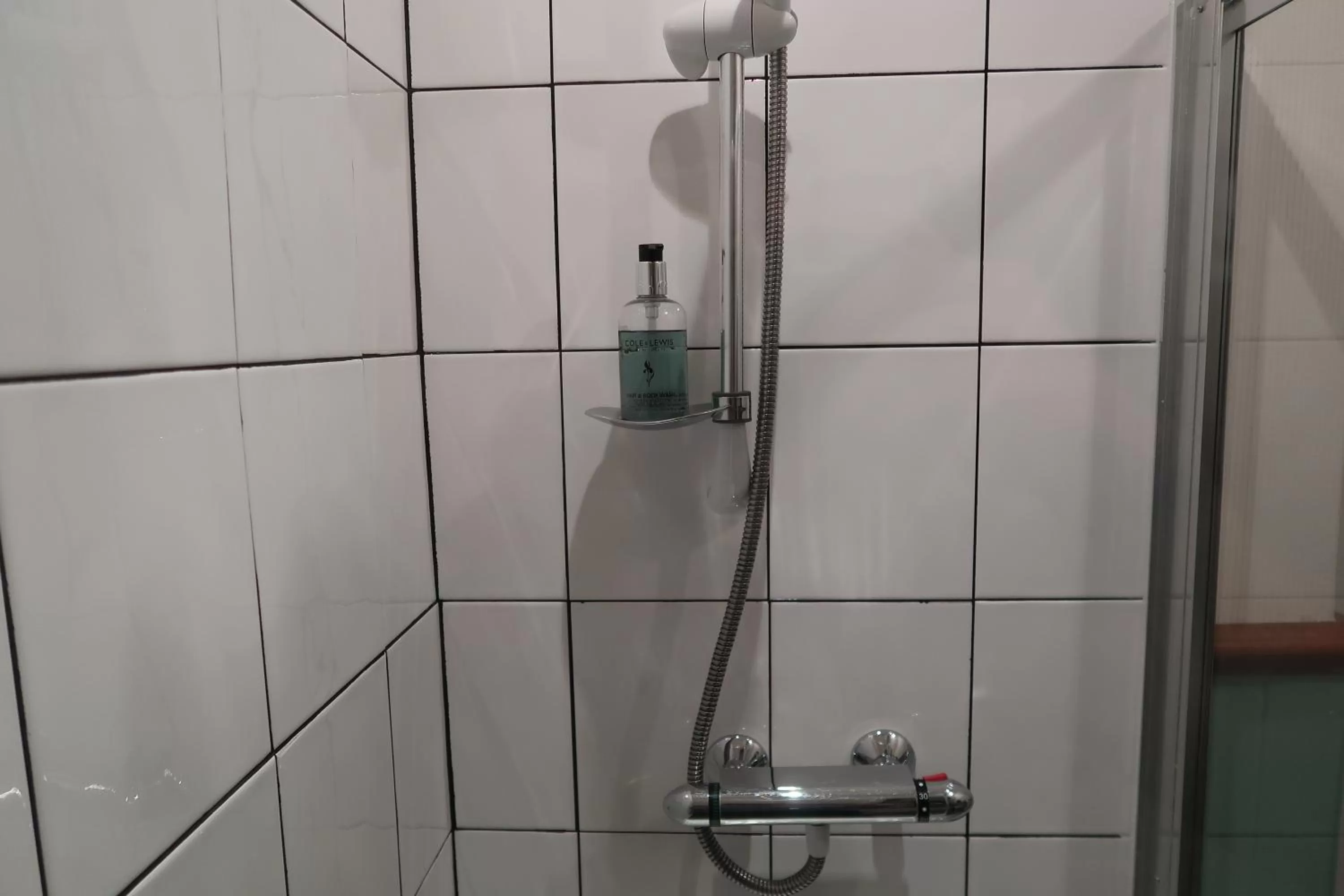 Shower in Corunna Bed & Breakfast and Corunna Cottage