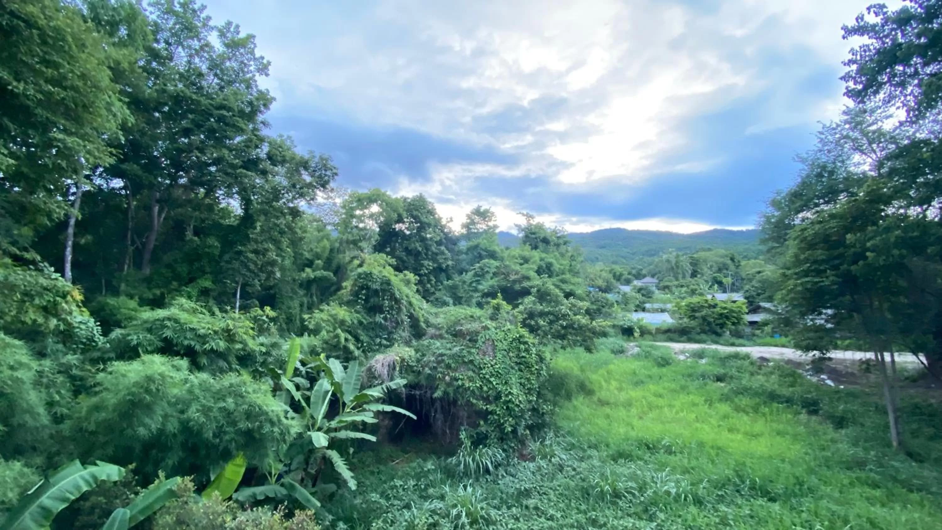 Natural landscape in Proud Phu Fah Muang Chiang Mai