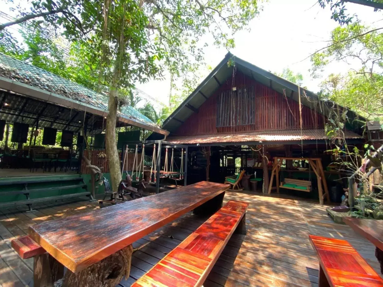 Day, Property Building in Khao Sok Tree House Resort