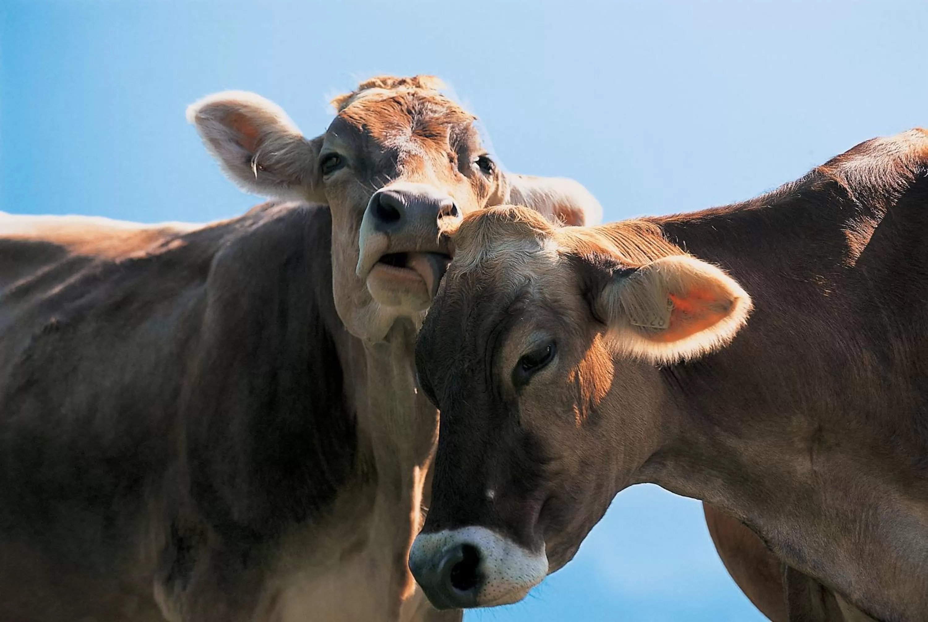 Hiking in Hotel Landhaus Säntis Herisau