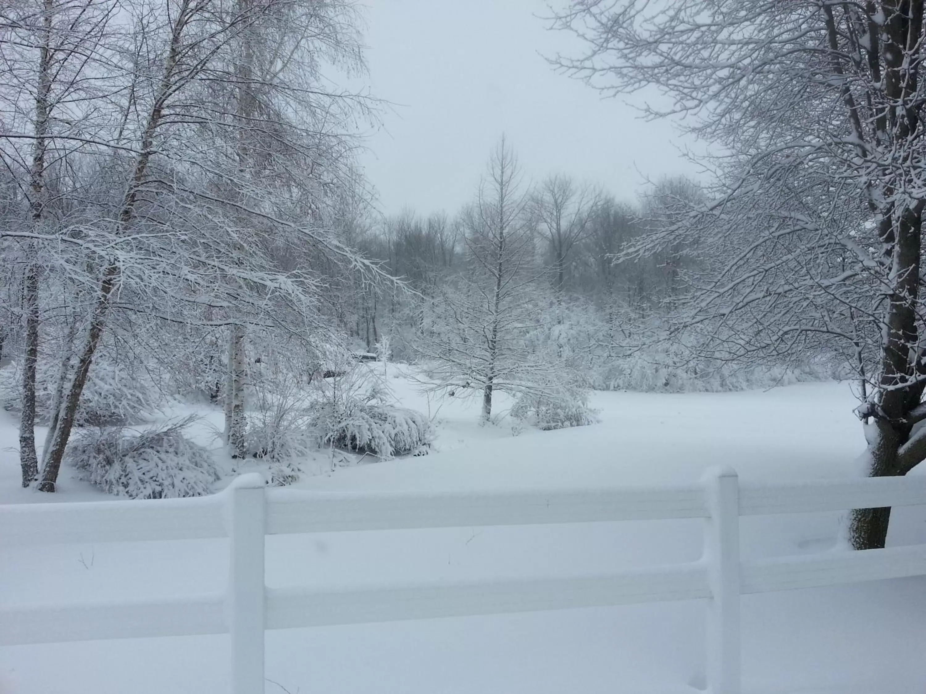 Day, Winter in Brook Pointe Inn