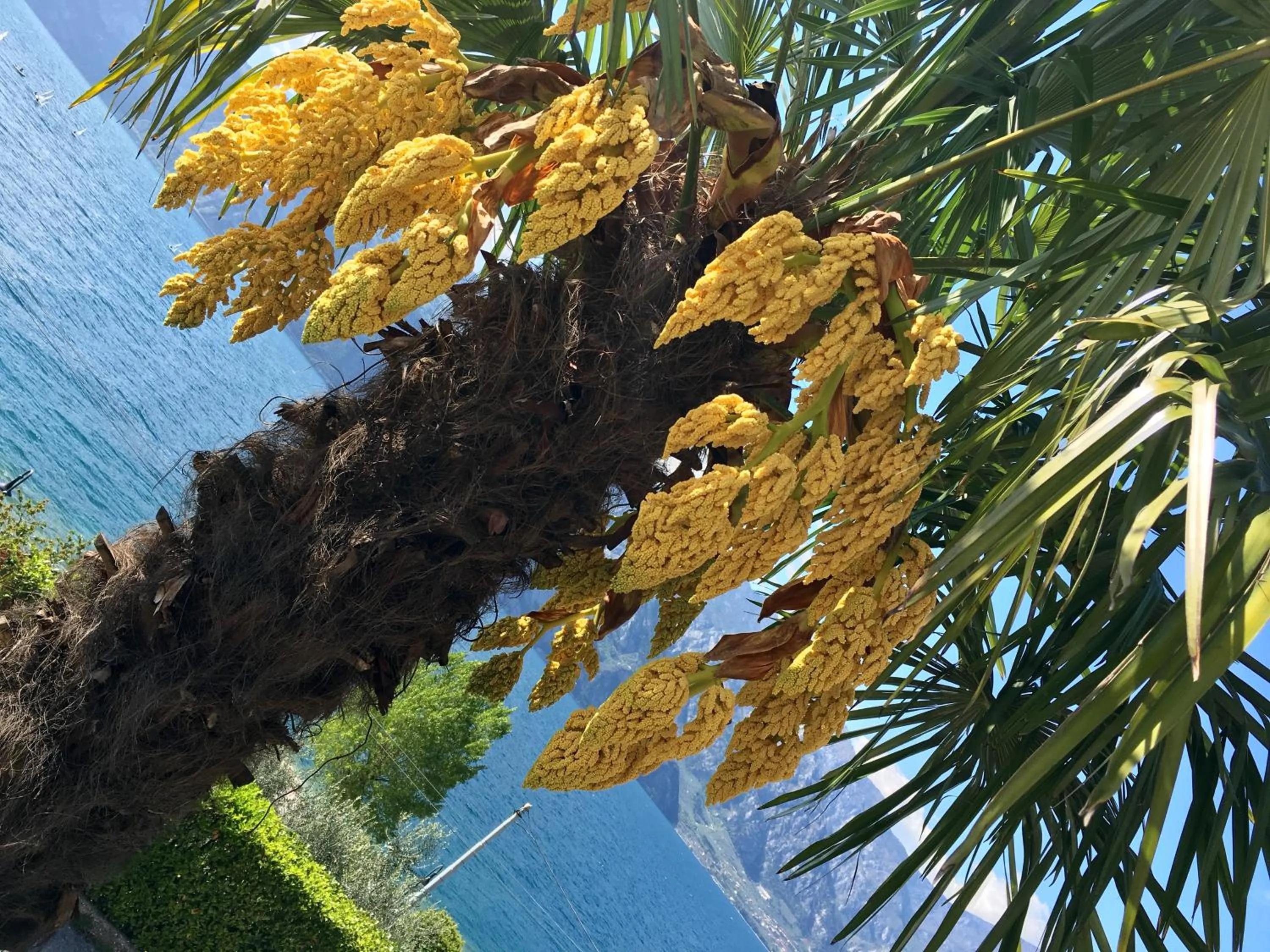 Day in Albergo Villa Edera