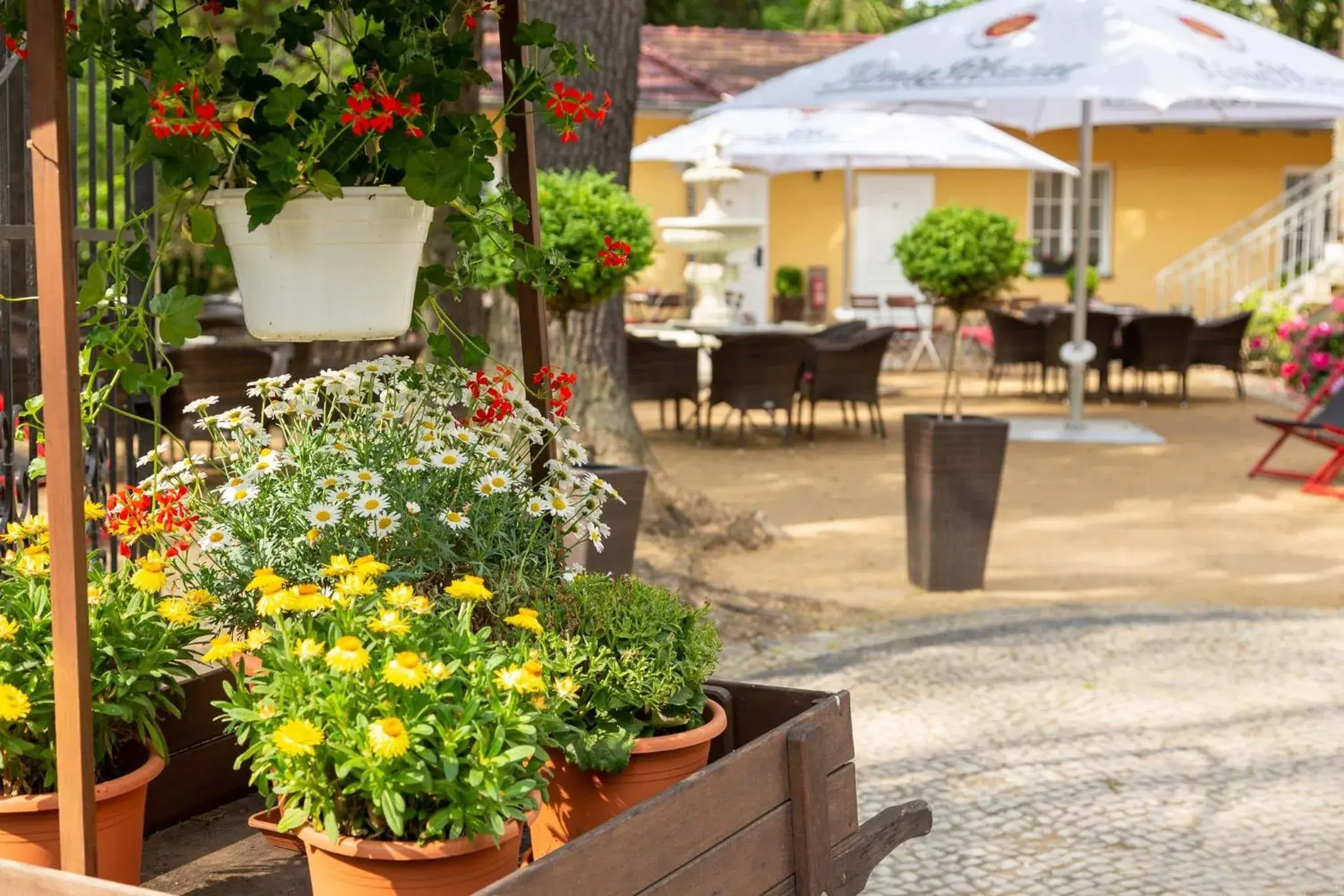 Garden view in Hotel Kronprinz