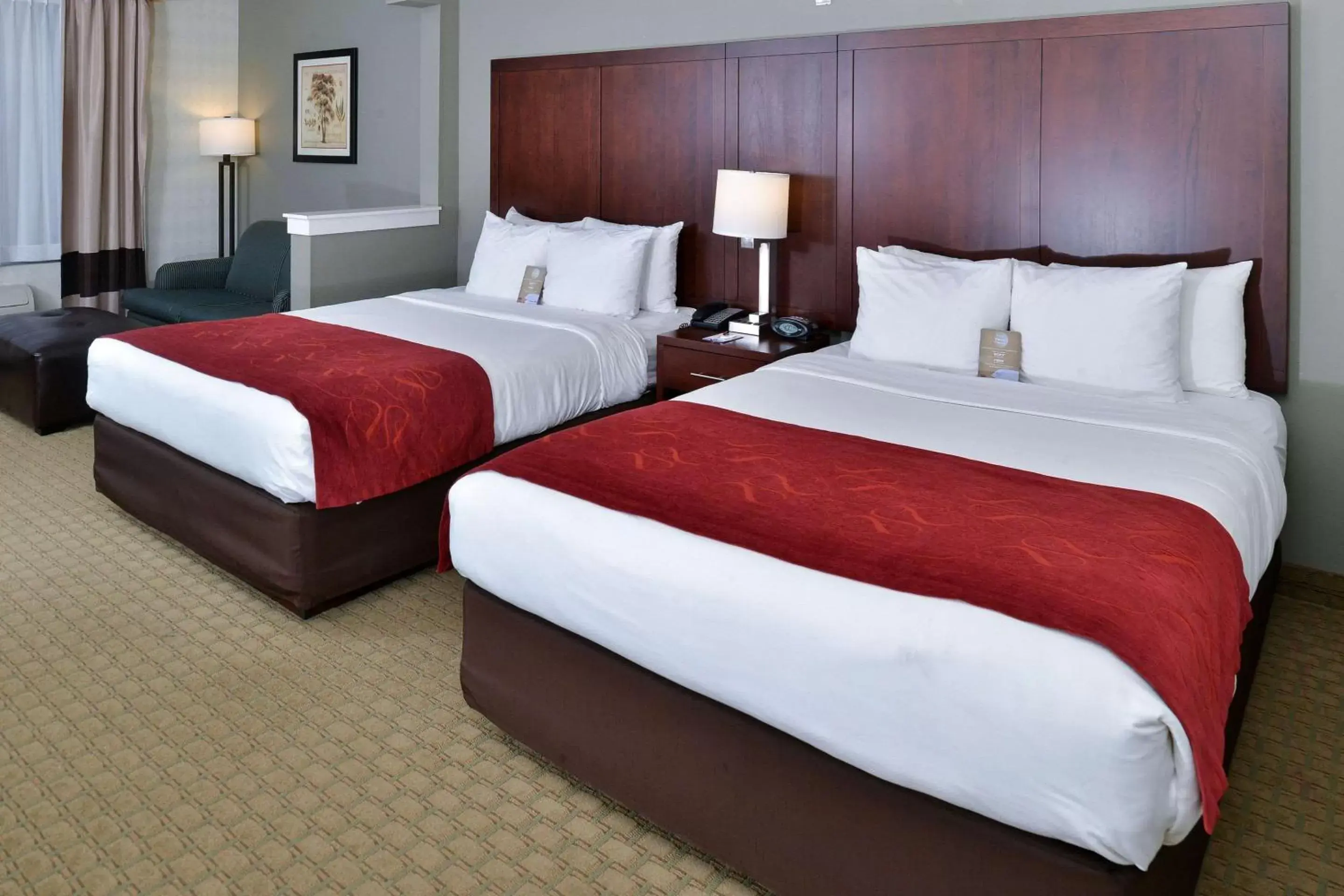 Photo of the whole room, Bed in Comfort Suites Airport Tukwila Seattle