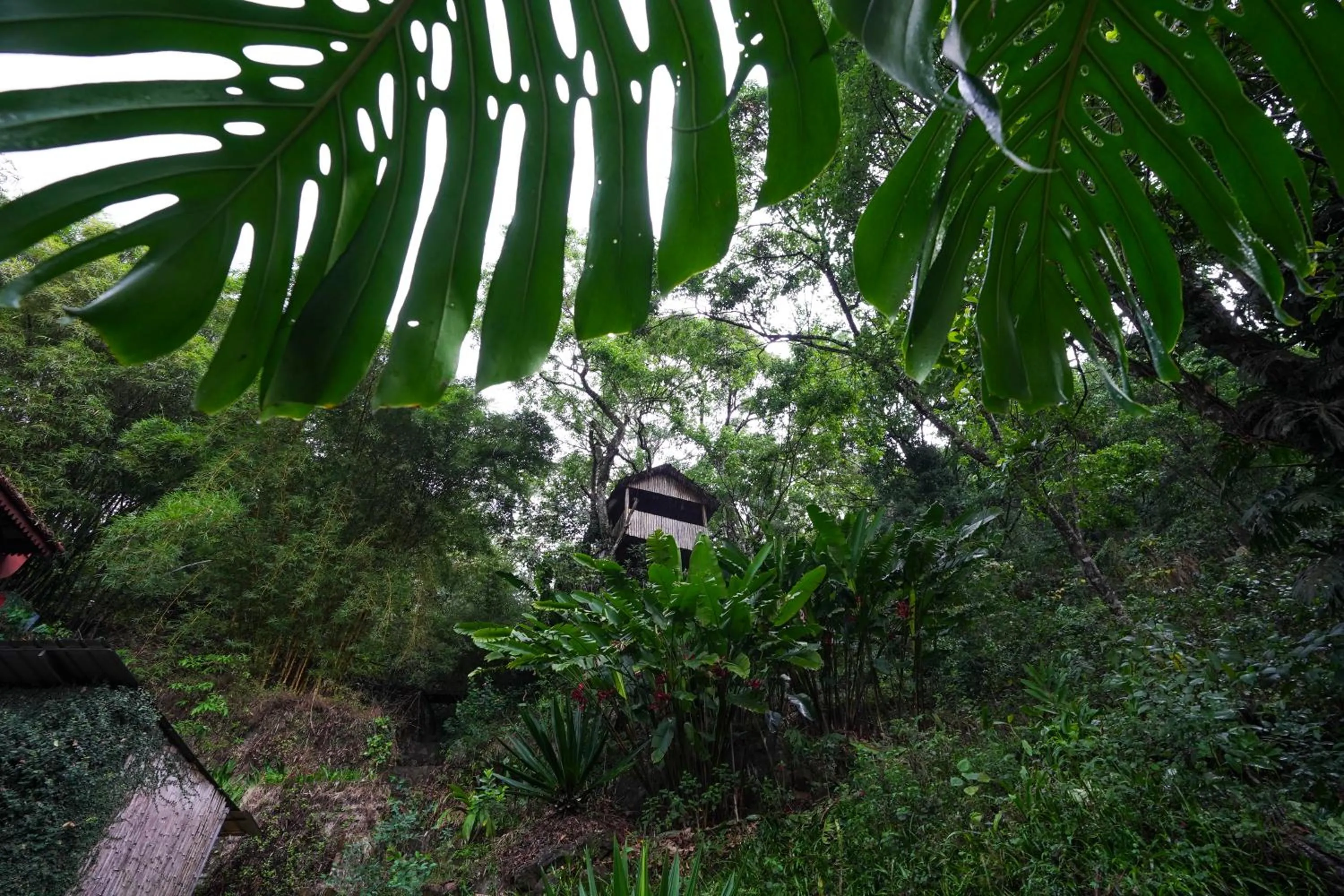 Activities in Tea Valley Resort, Munnar