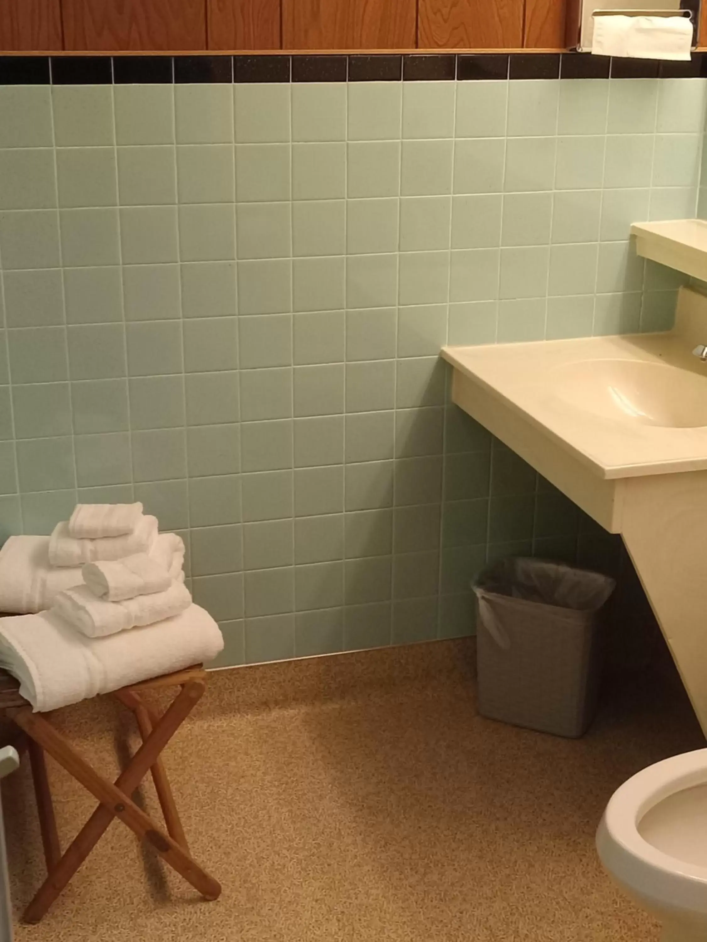 Bathroom in Siesta Motel