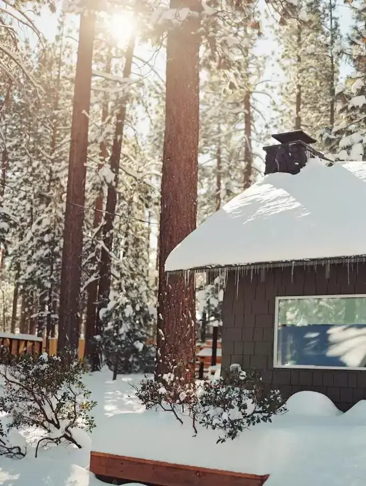 Winter in Colorado Lodge